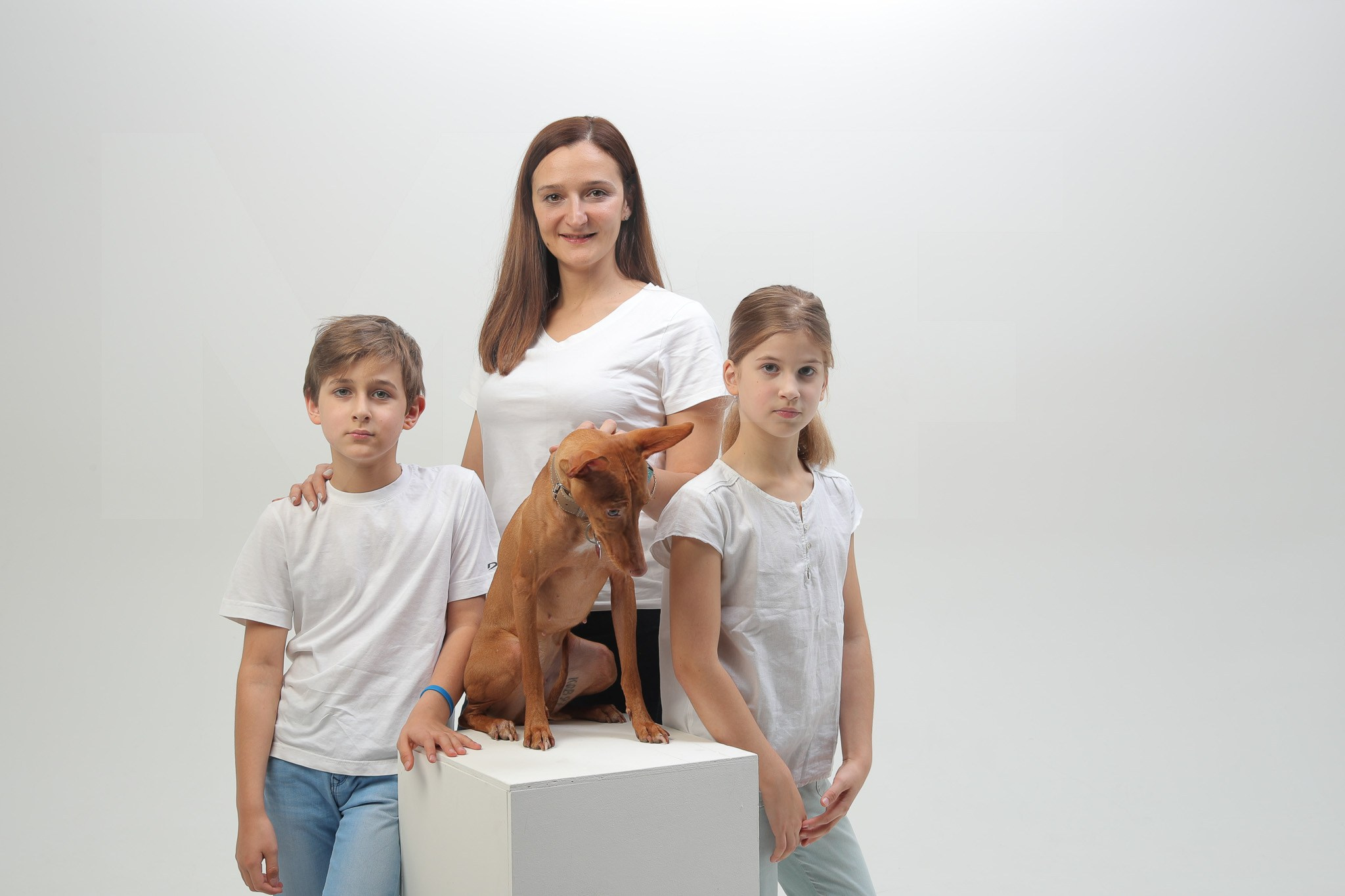 Mashfilm Studio: Content, TV, Film, Photo production