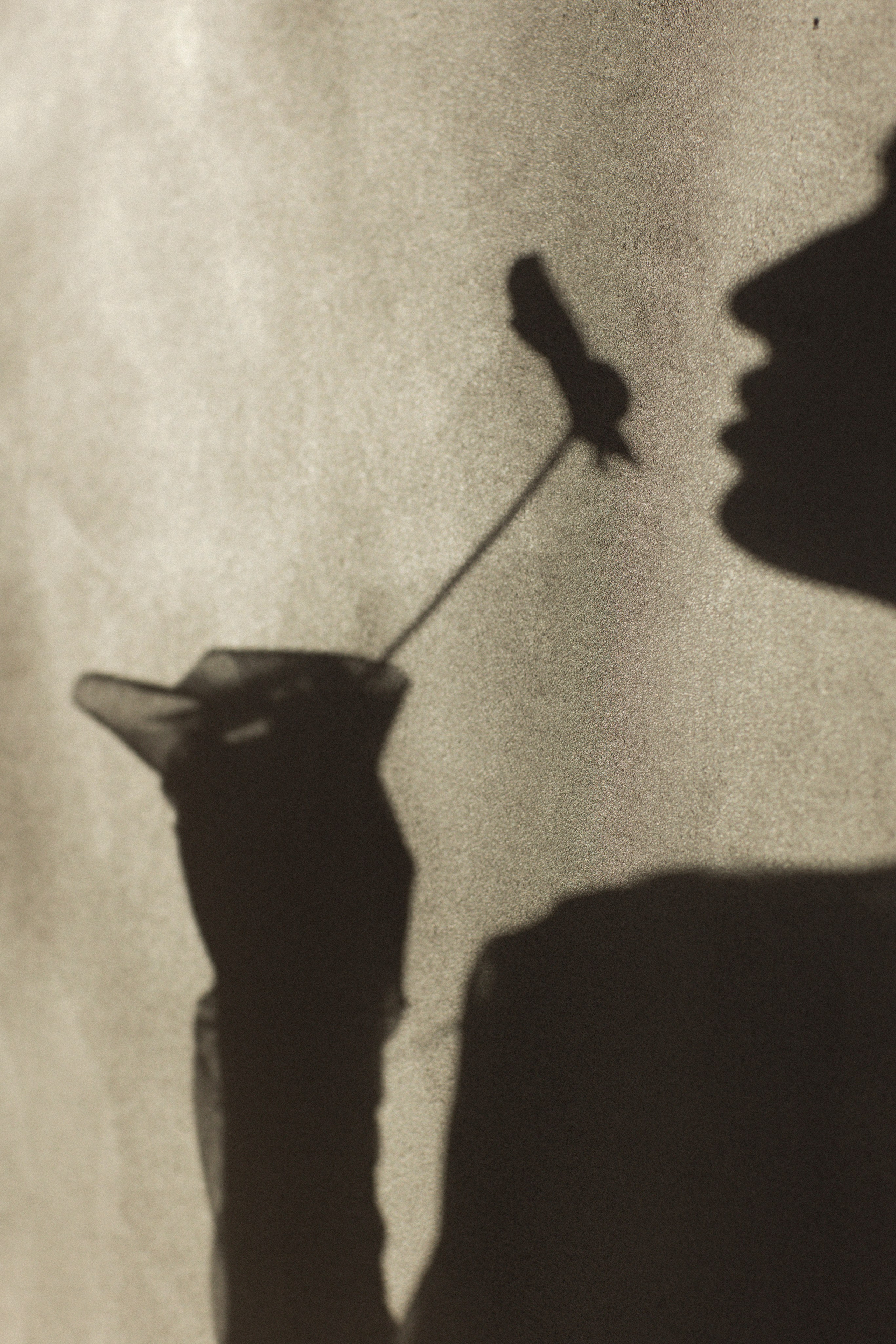 Свадебный, портретный, семейный фотограф. Севастополь, Ялта, Симферополь, Крым. Видеограф в Крыму на свадьбу