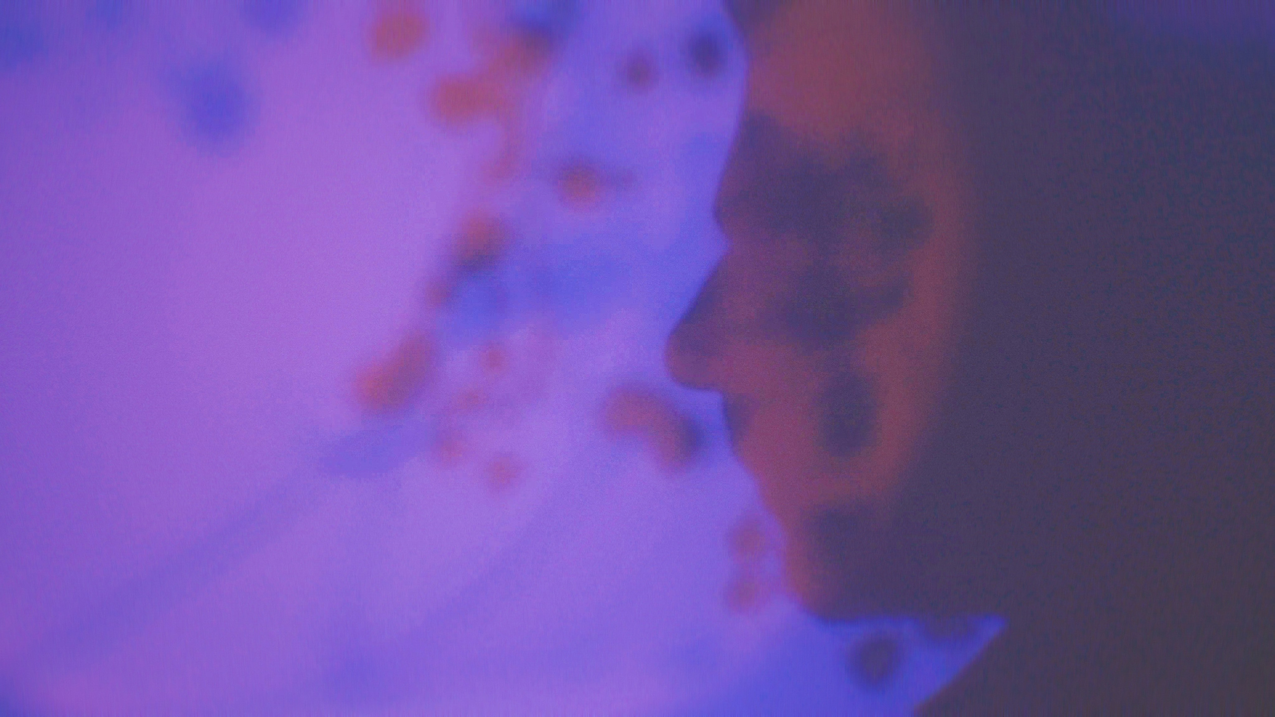 Insomnia. Eliza Ari | visual artist