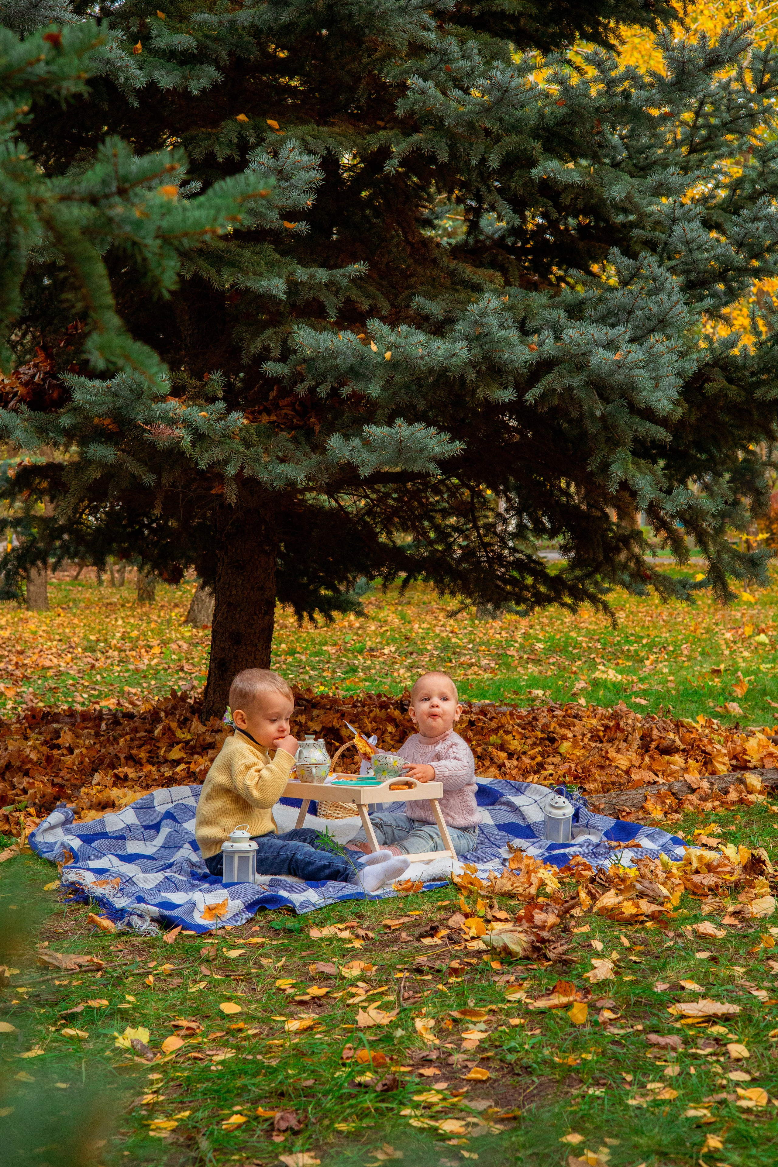 Семейный и детский фотограф в Михайловке Татьяна Лестьева