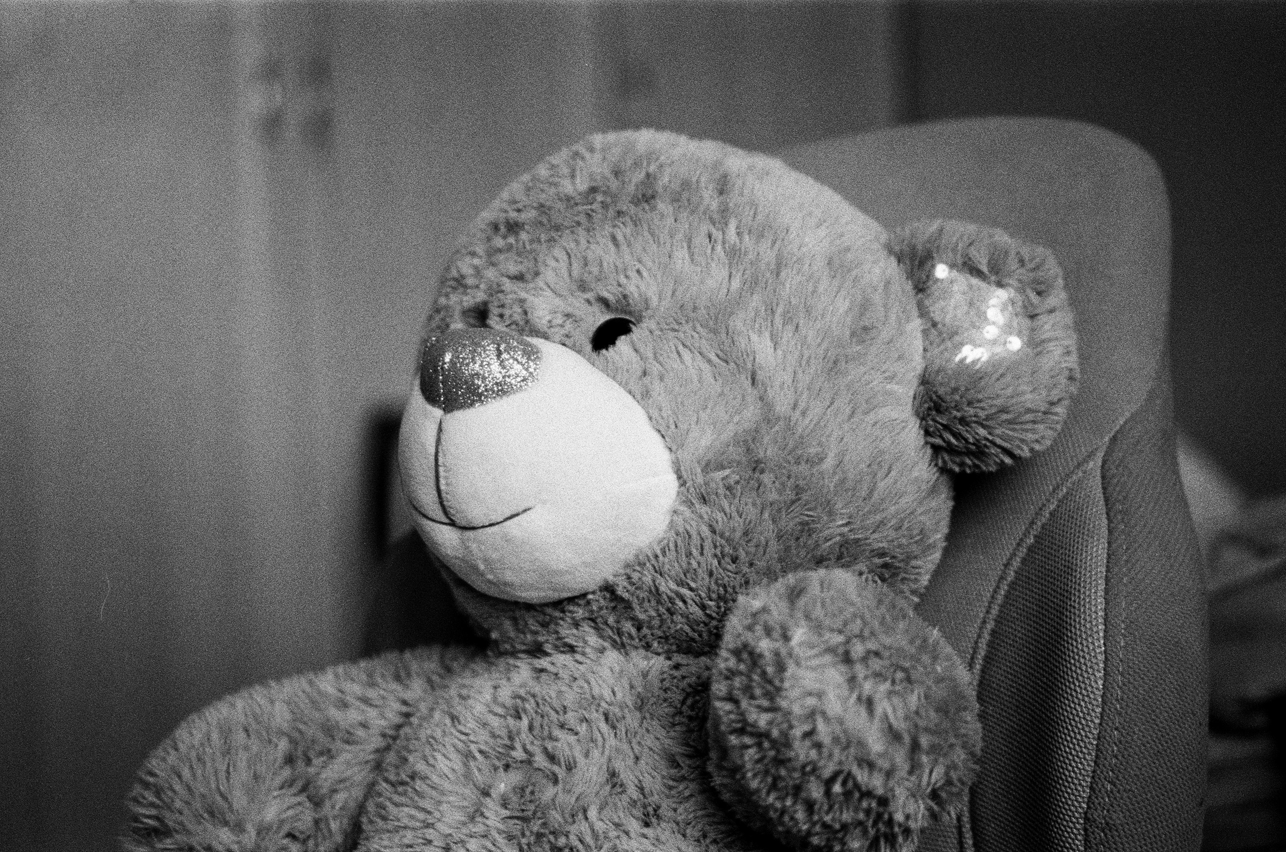 Voigtlander BESSA-T — Voigtlander Color-Scopar 50 mm f/2.5