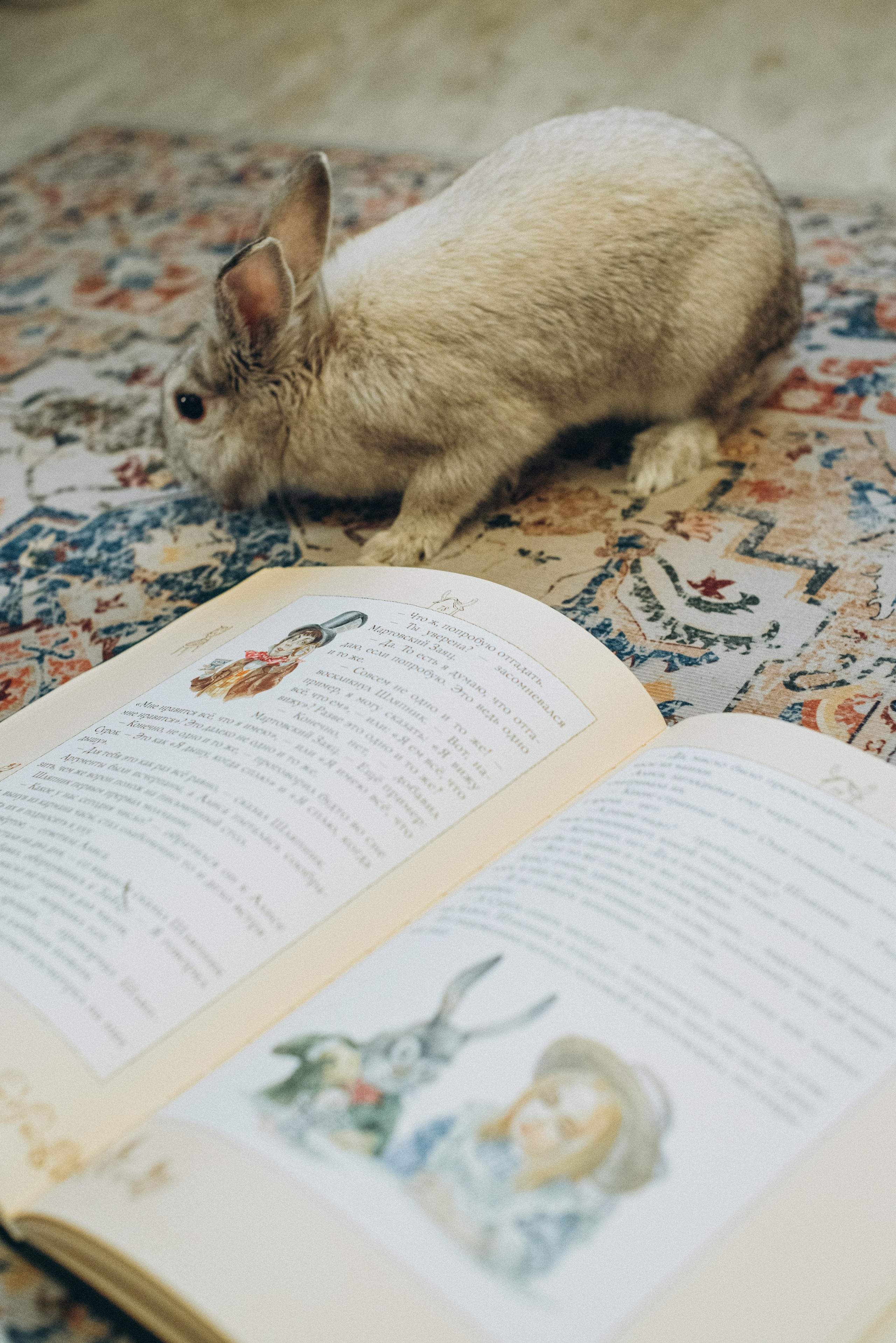 Волшебство внутри тебя. Фотограф Катерина Тюрина. Саратов