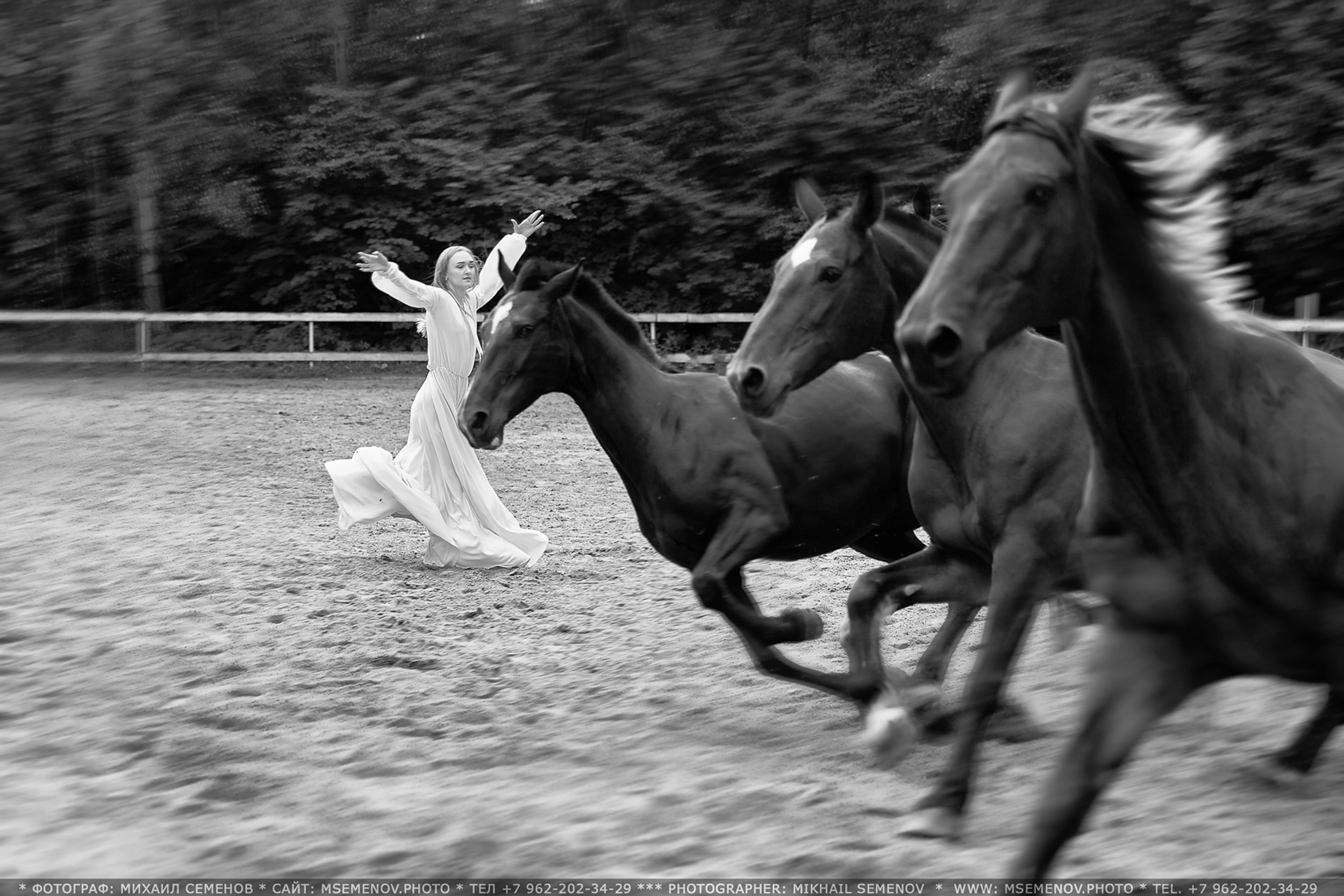 Балет и лошади, фотосессия «ГРАЦИЯ и СИЛА-1» Фотограф Михаил Семенов г. Ярославль