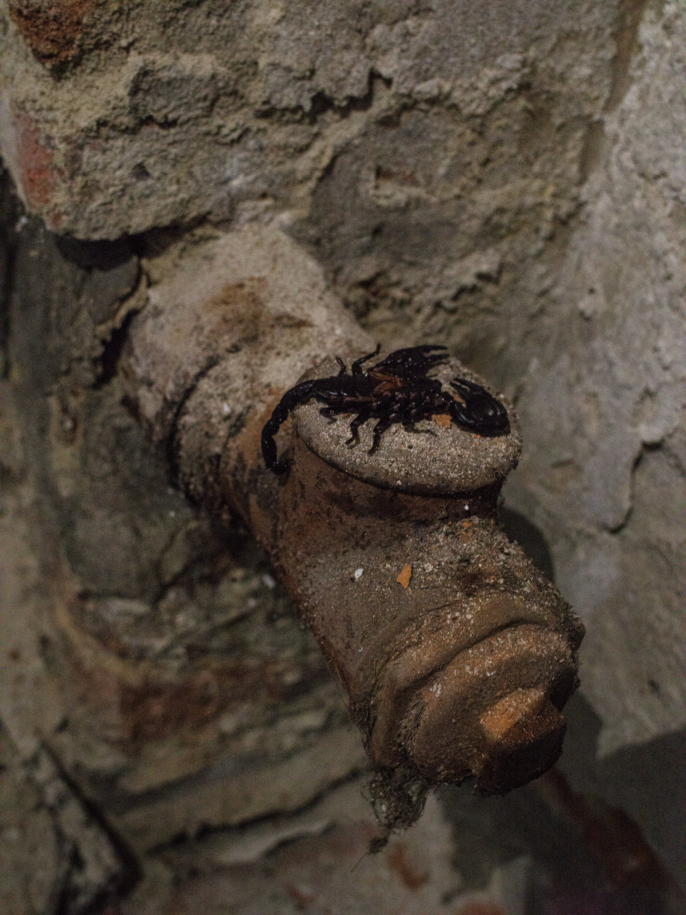 Unspoken. Photographer, Documentary and Art