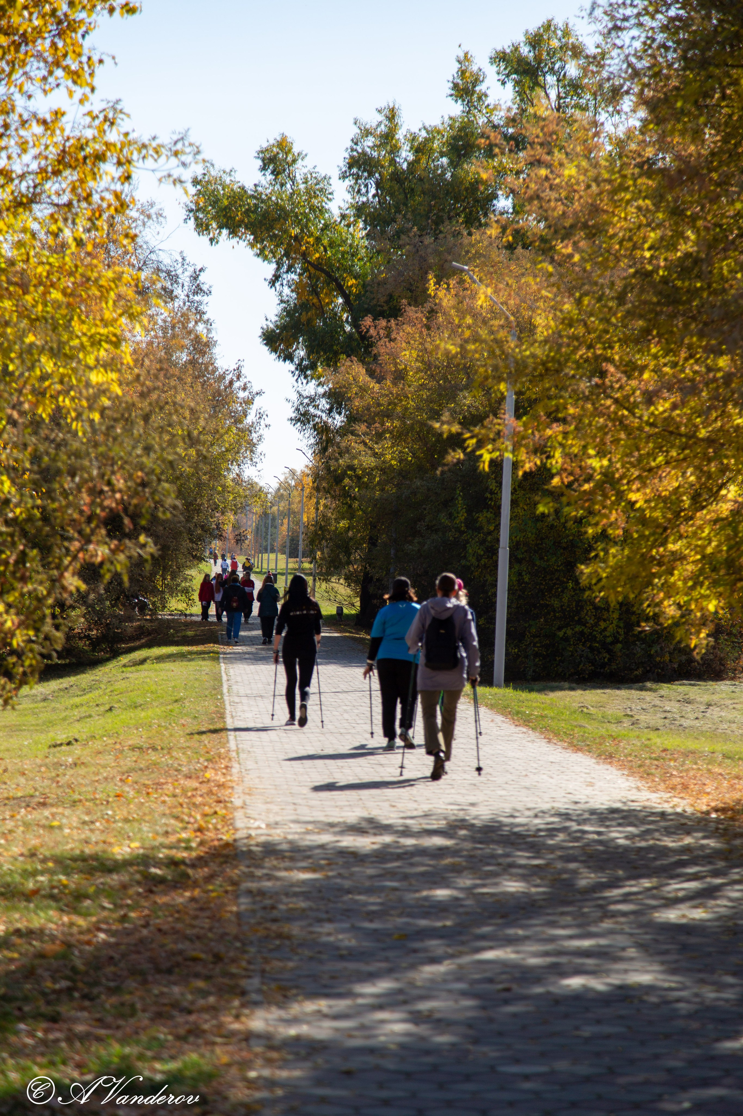 День ходьбы 2024. Фотограф Омск | Александр Вандеров