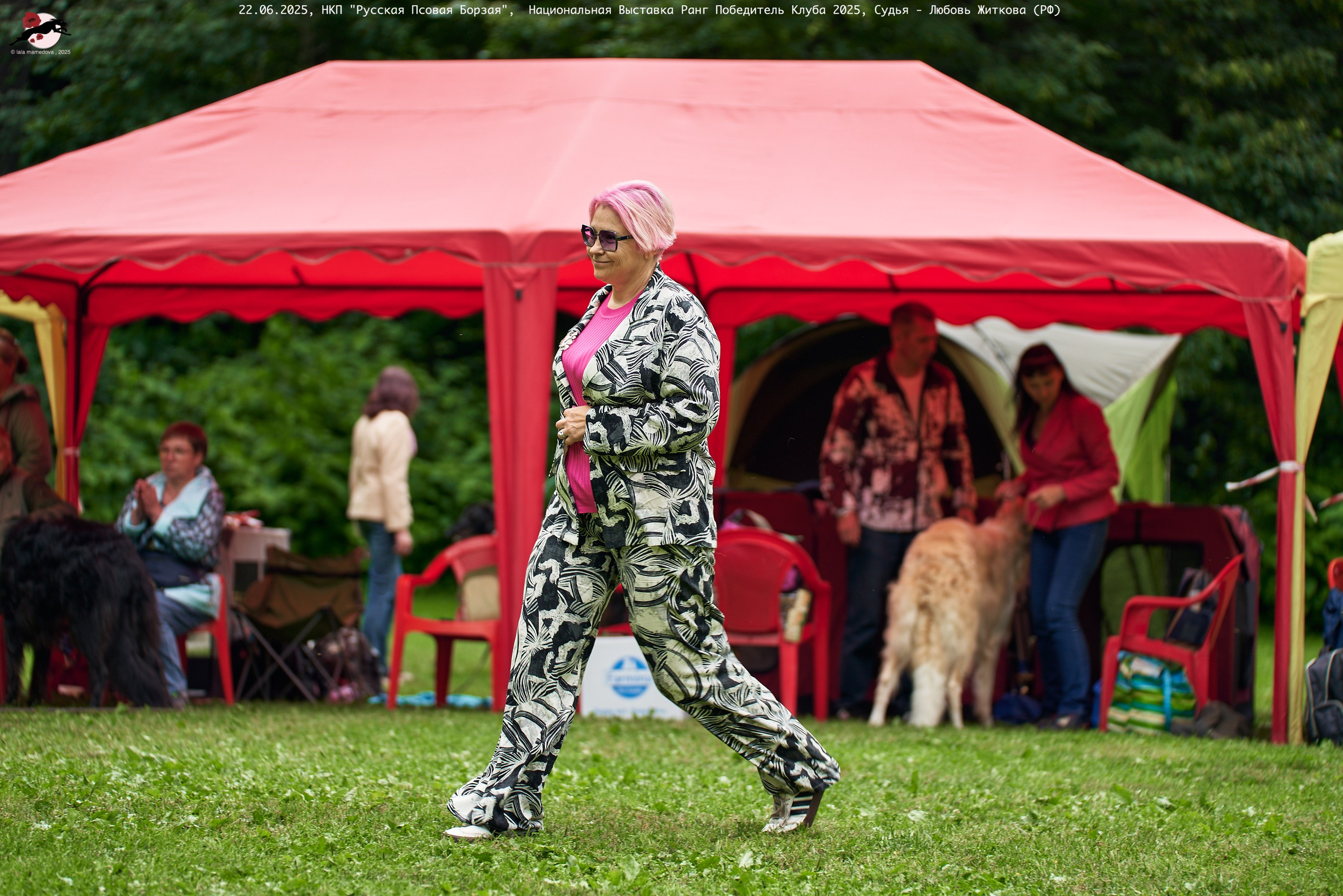 22.06.2025 | Национальная Выставка НКП "Русская Псовая Борзая"