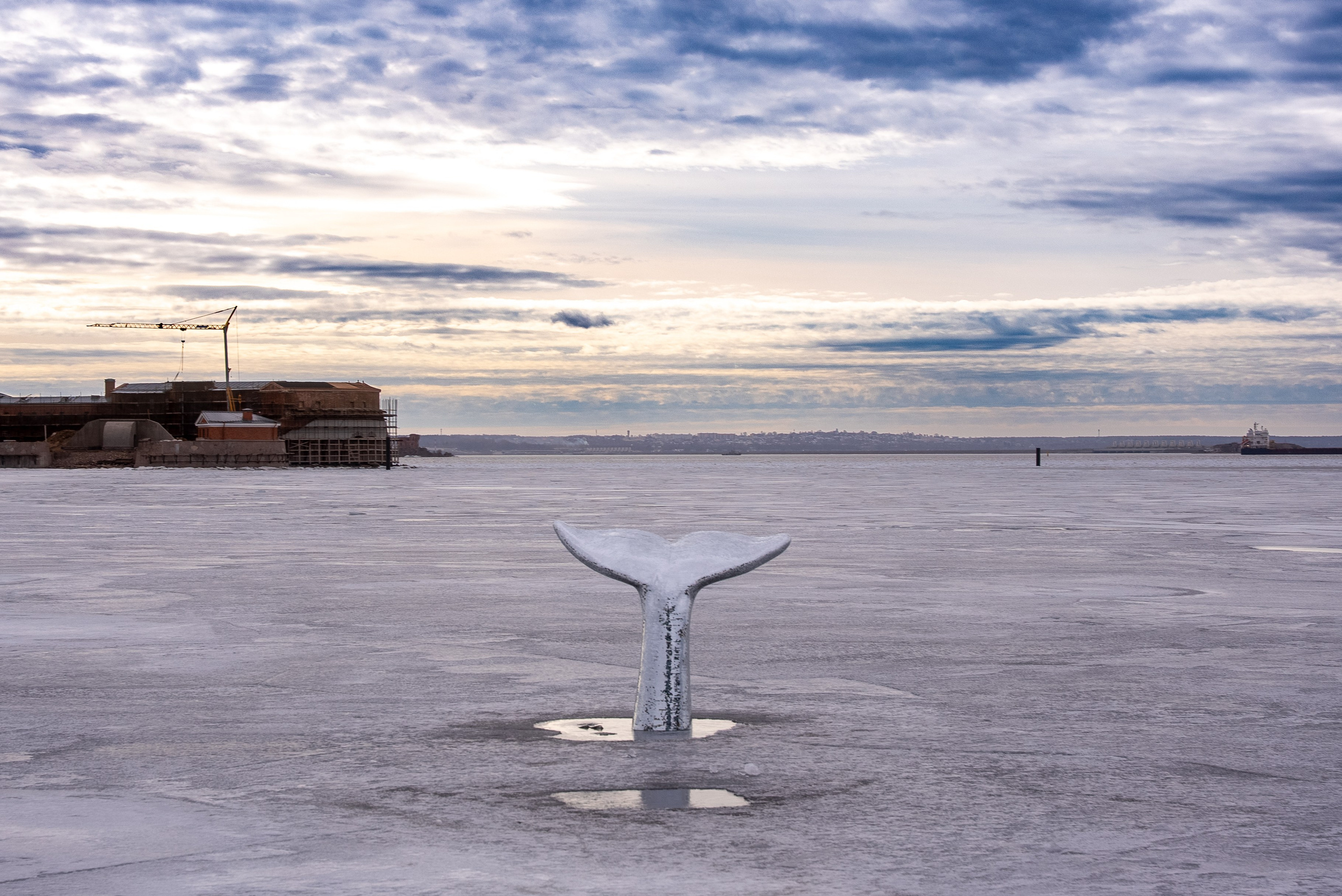 Паблик-арт проекты