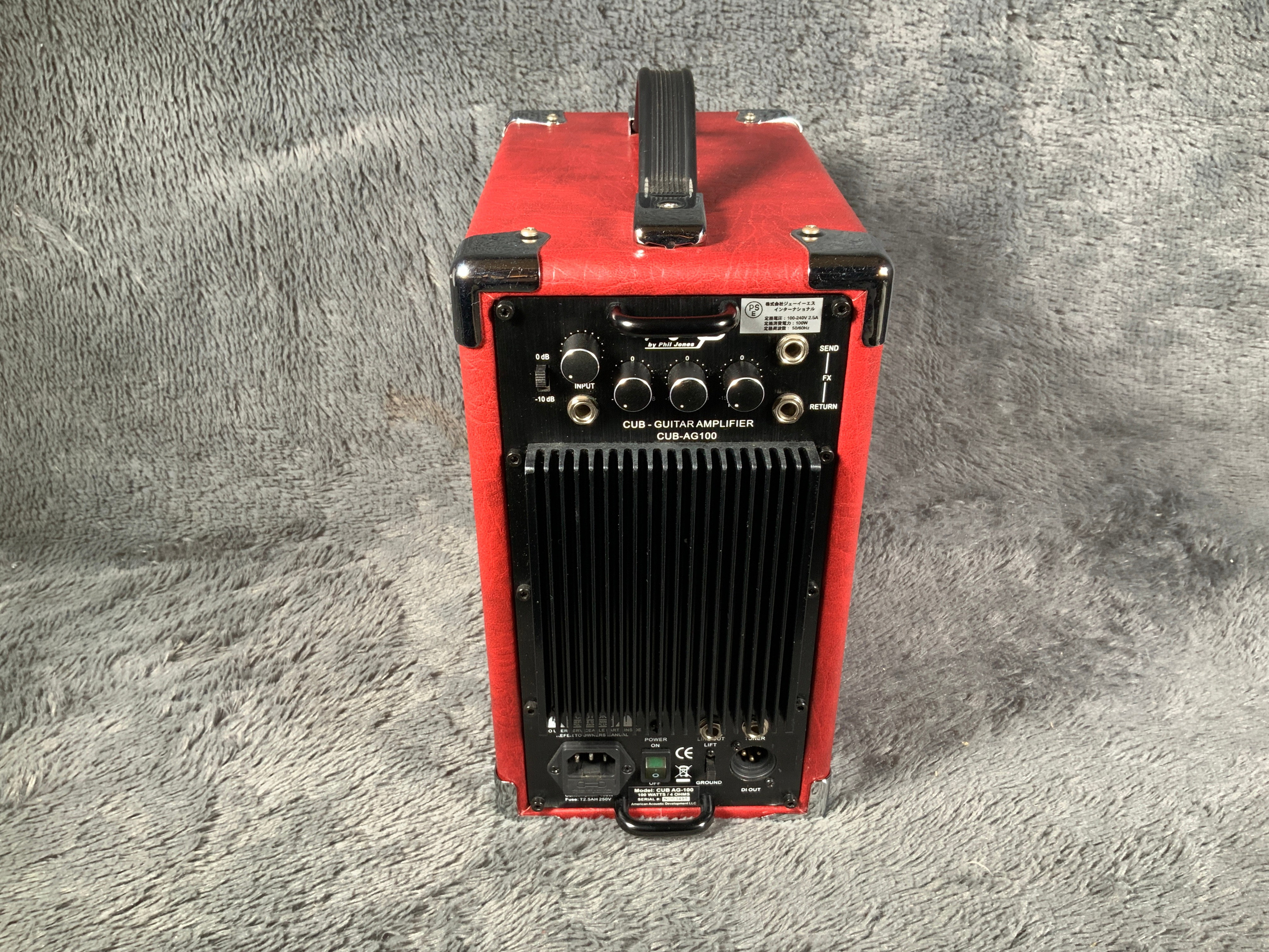 Аmerican Acoustic Development by Рhil Jоnes CUB АG-100