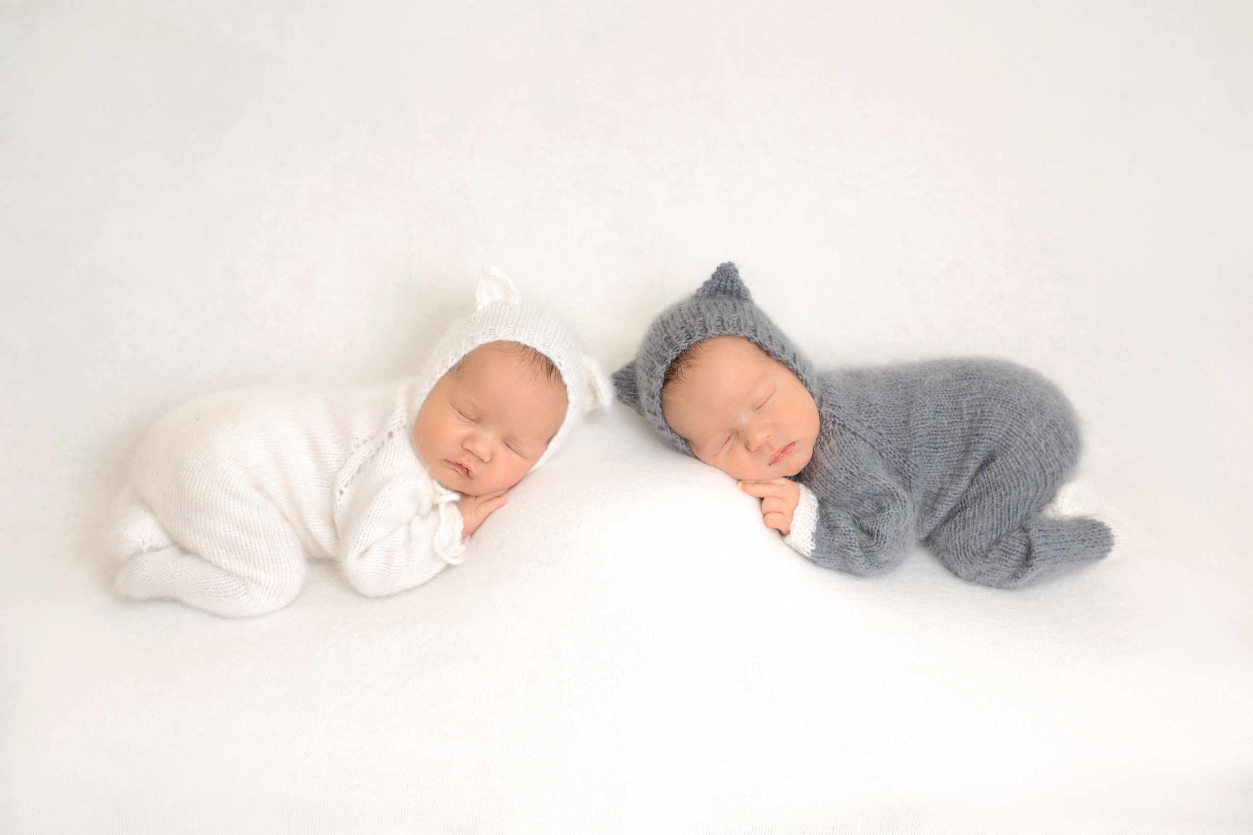 фото двойни в костюмах котят на белом фоне