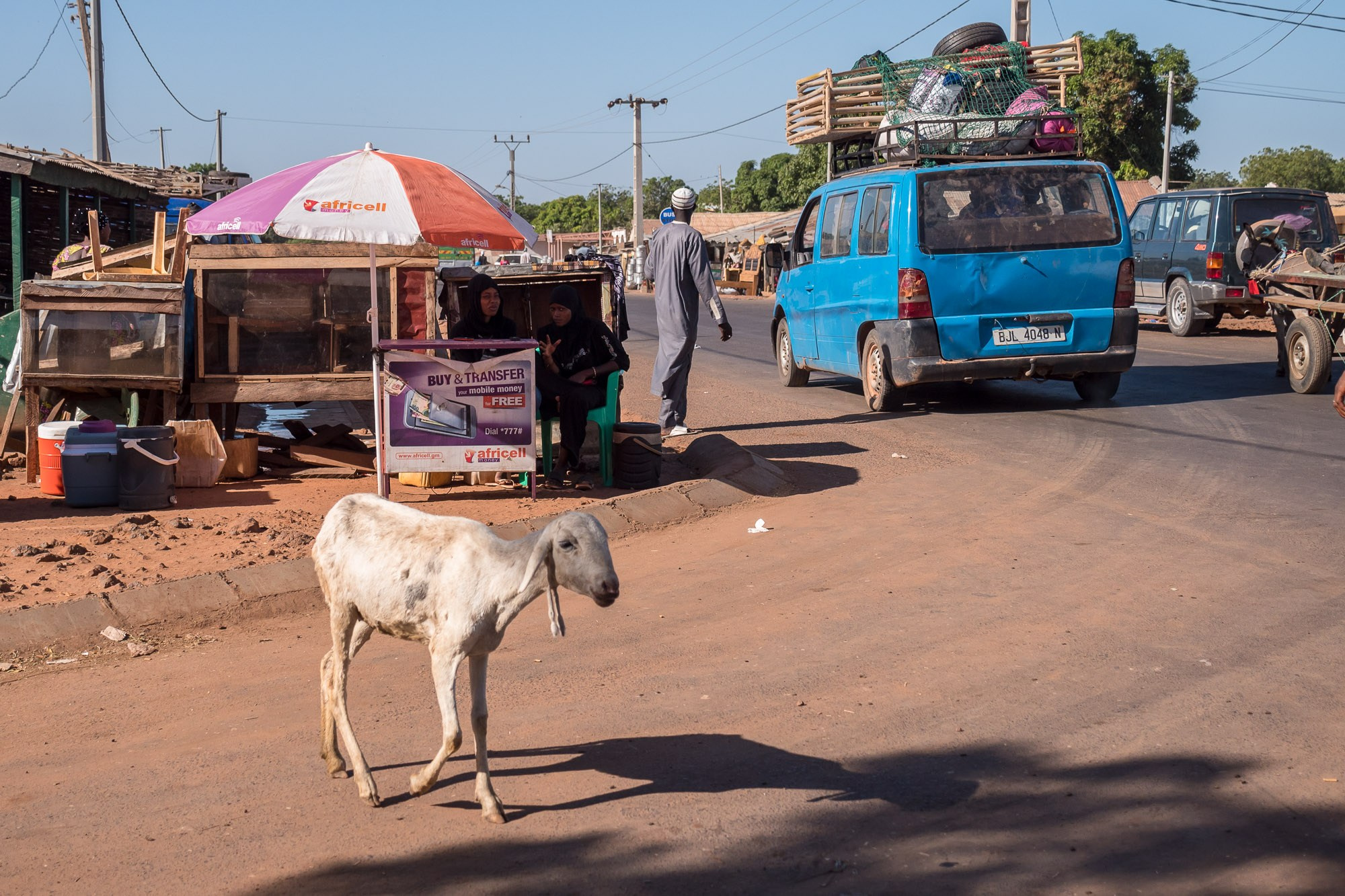 Путешествие по Гамбии (Западная Африка).Traveling in Gambia (West Africa.). Фотограф Алексей Скоробогатько