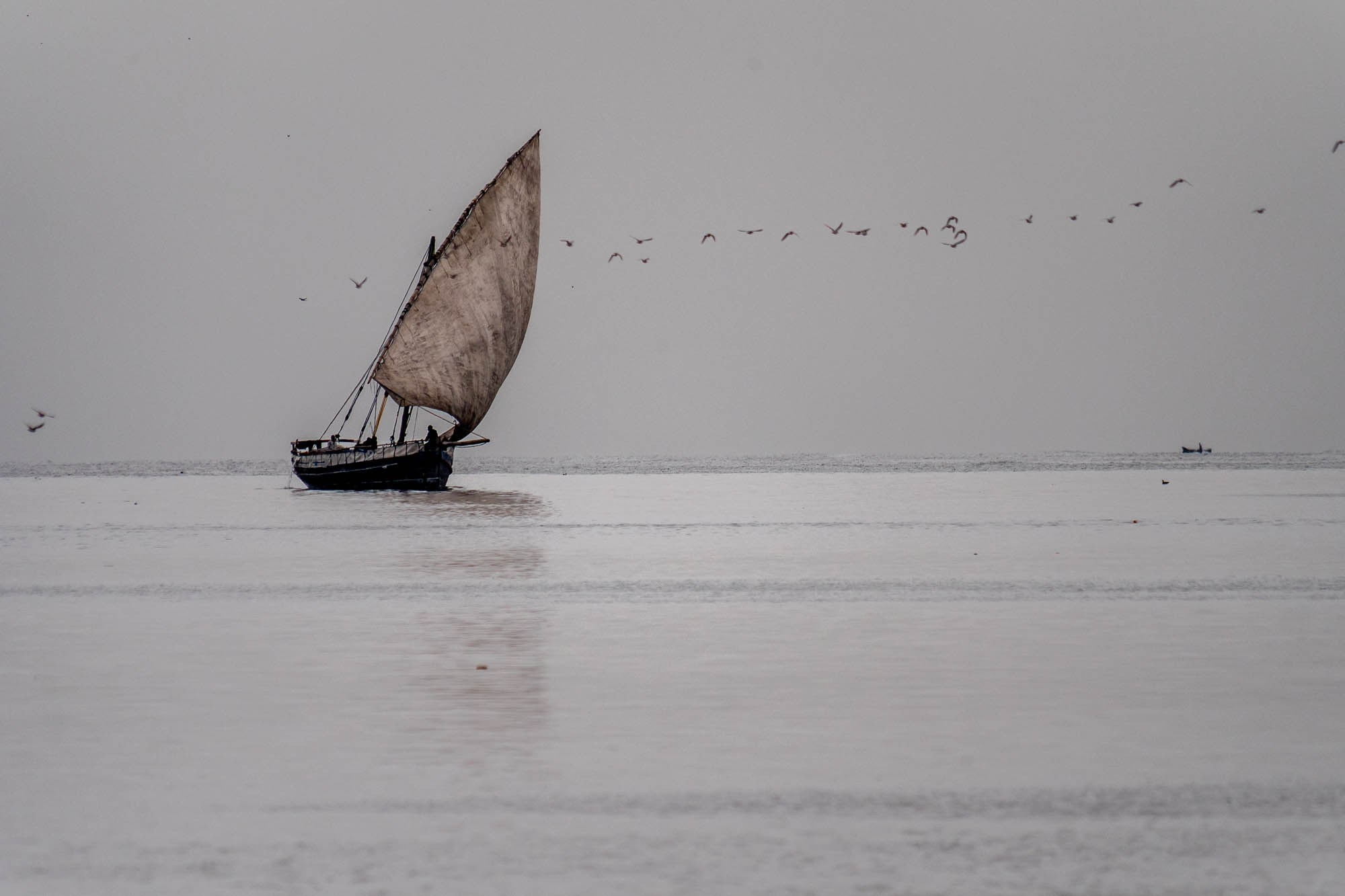 Африка, Танзания, Занзибар, Нунгви. Africa, Tanzania, Zanzibar, Nungwi. Фотограф Алексей Скоробогатько