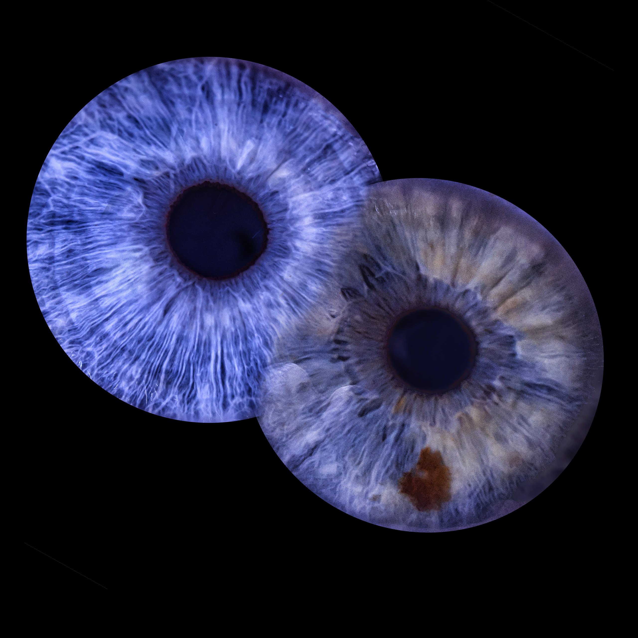 Лучшая фотография радужки глаза в Ростове. Профессиональная фотосъемка. Ростов-на-Дону