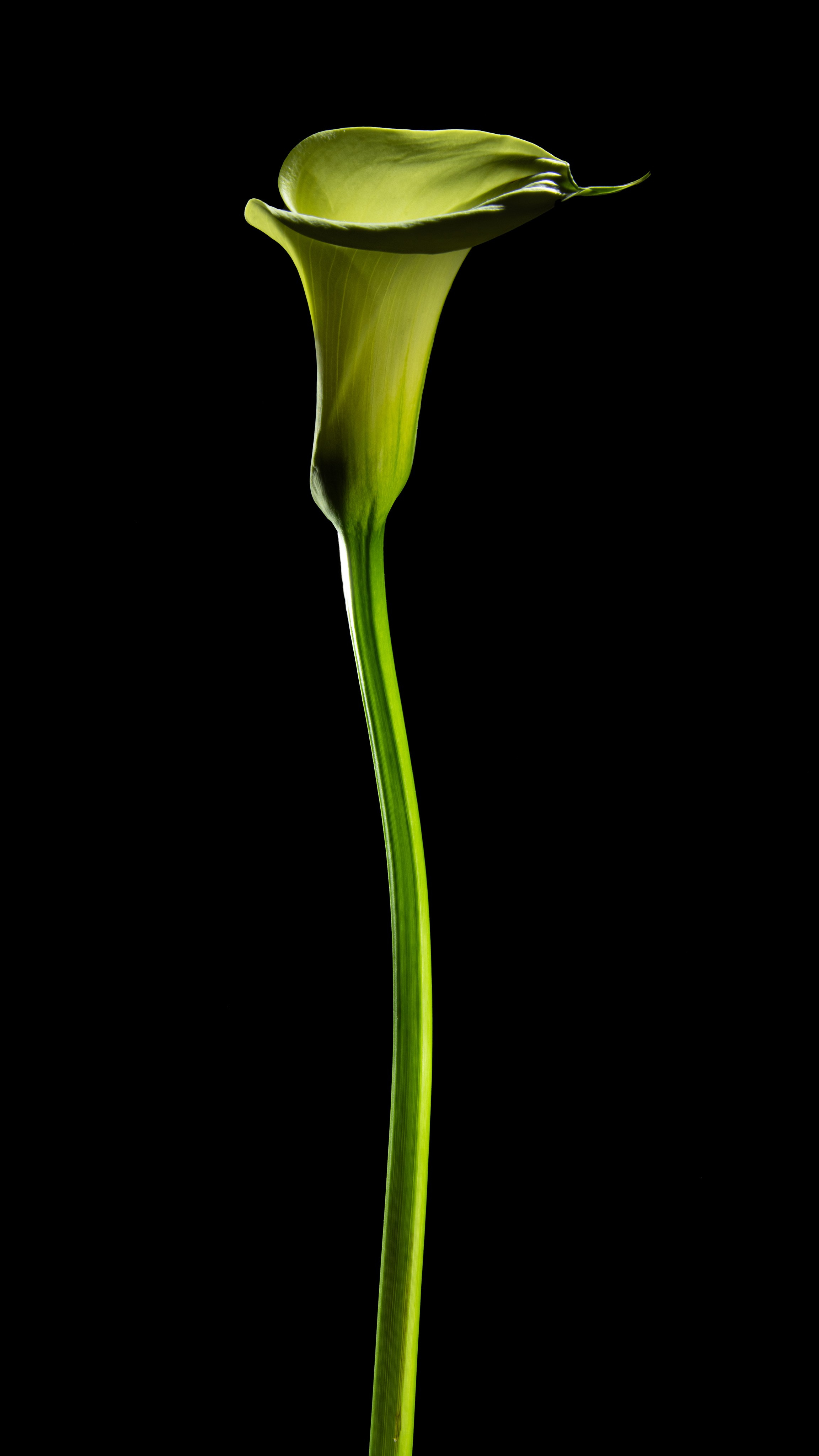 Проекты. Sakunov Photo