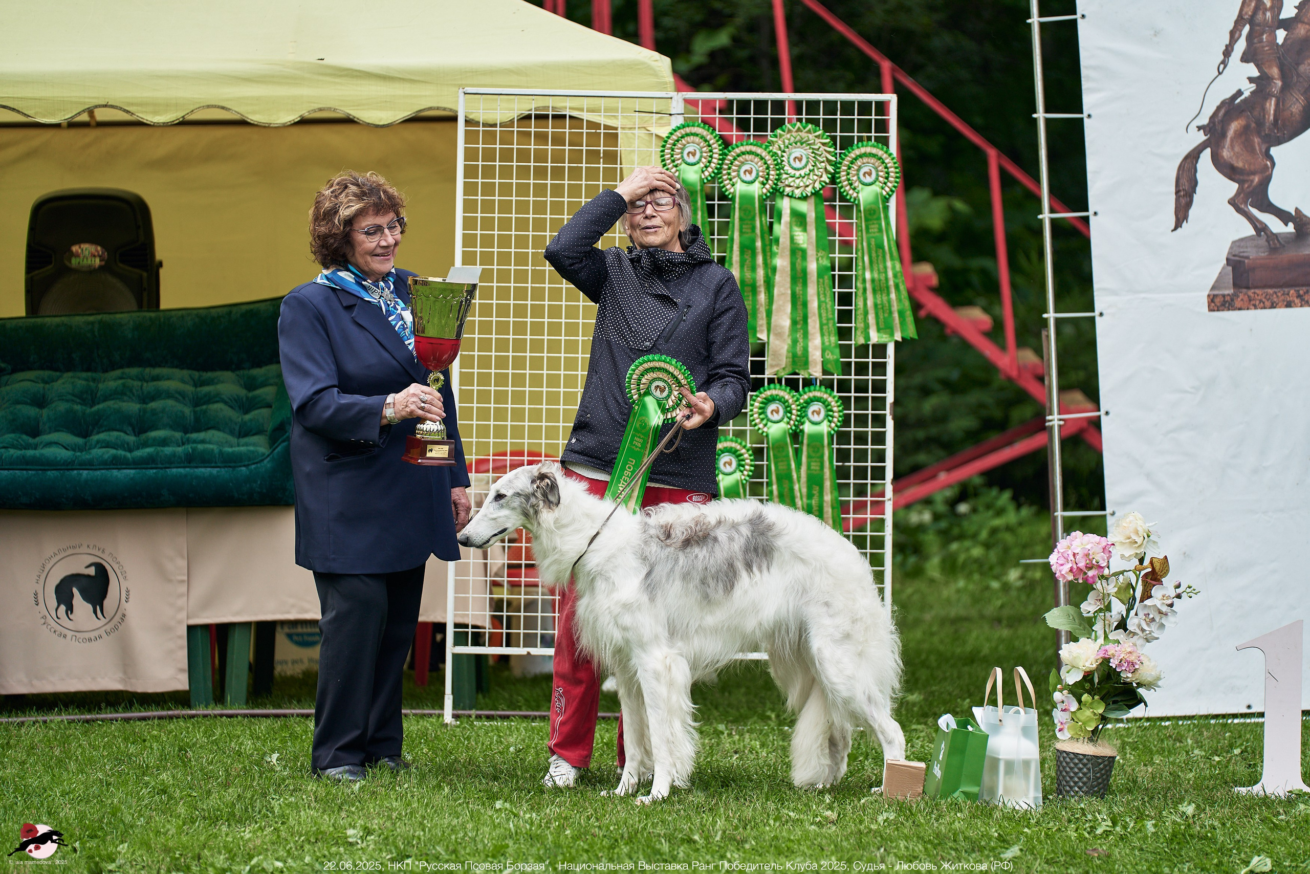 22.06.2025 | Национальная Выставка НКП "Русская Псовая Борзая"