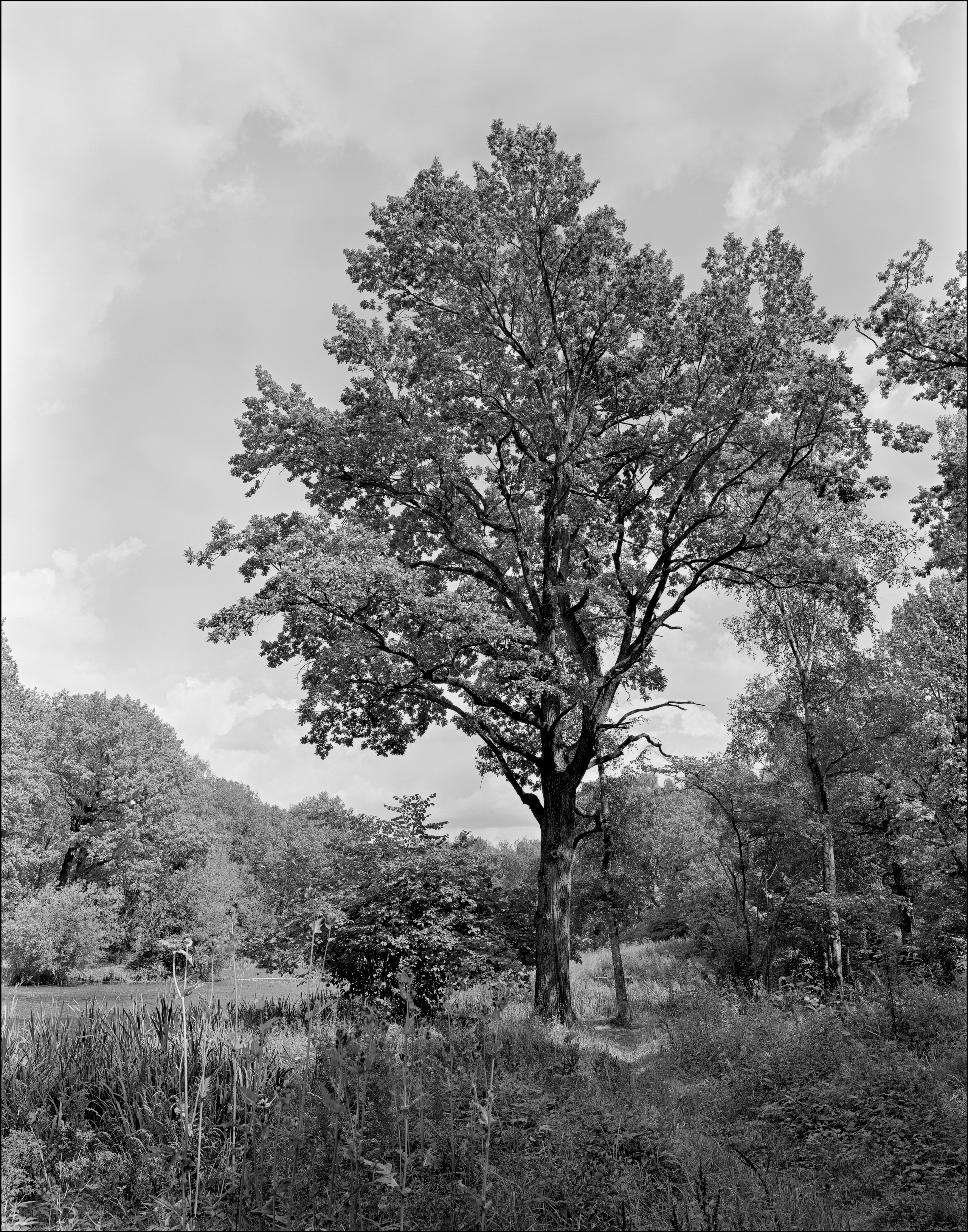 Landscape. Sergey Kondriuk art-photographer | artist