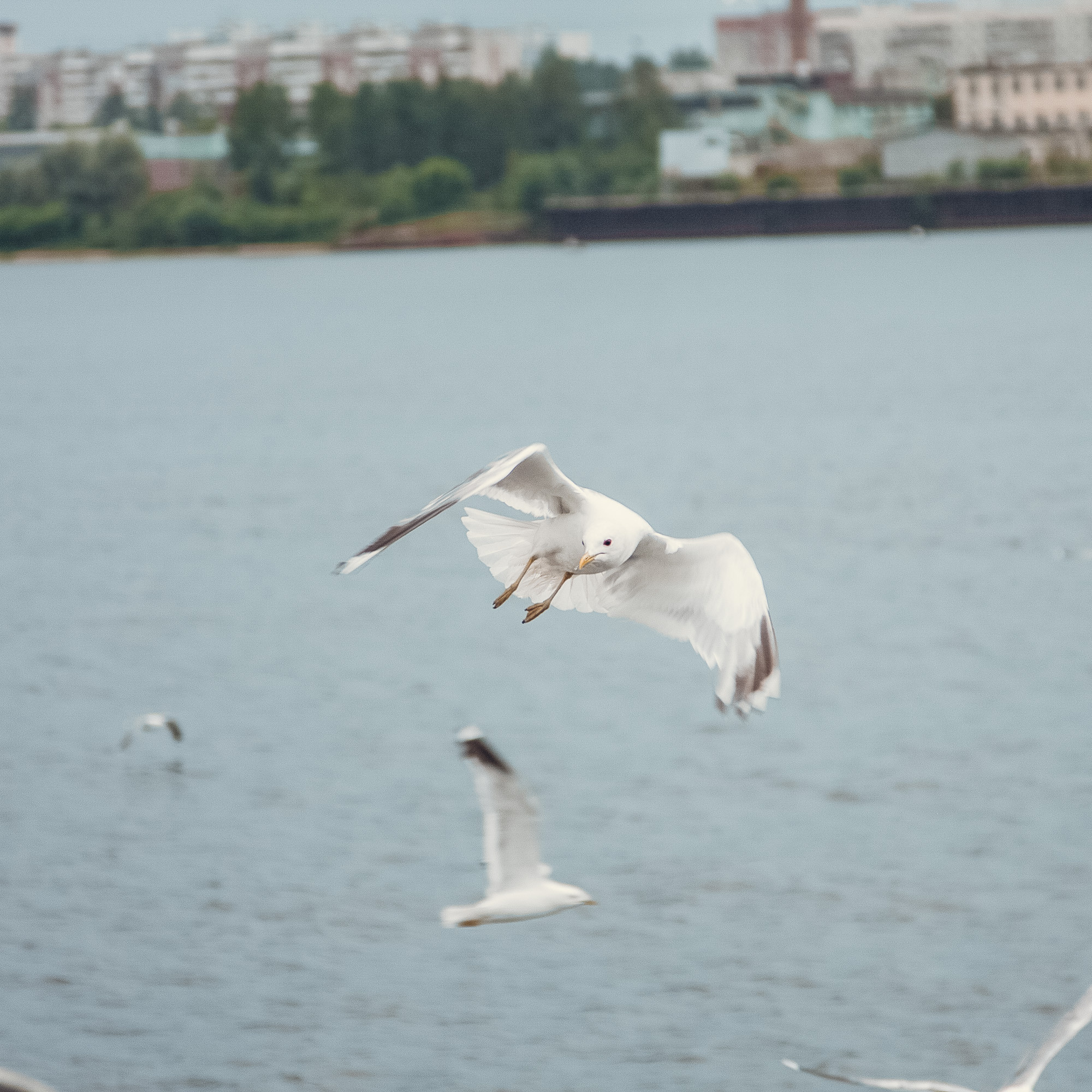 Поездка Ирины в Ярославль. Фотограф — Евгений Свистков