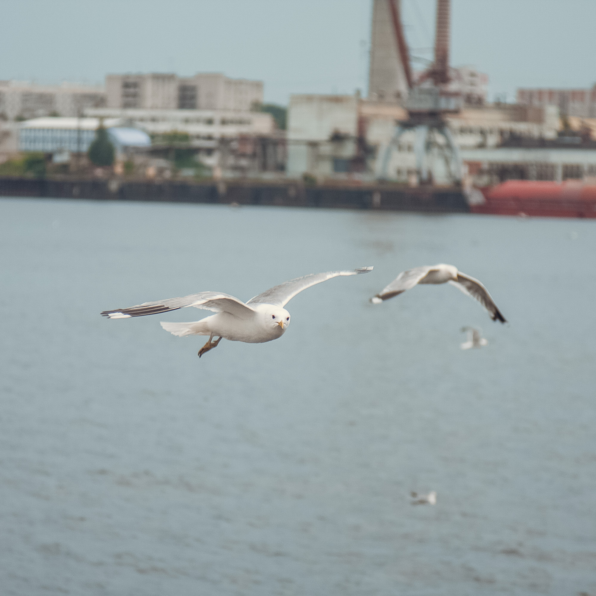 Поездка Ирины в Ярославль. Фотограф — Евгений Свистков