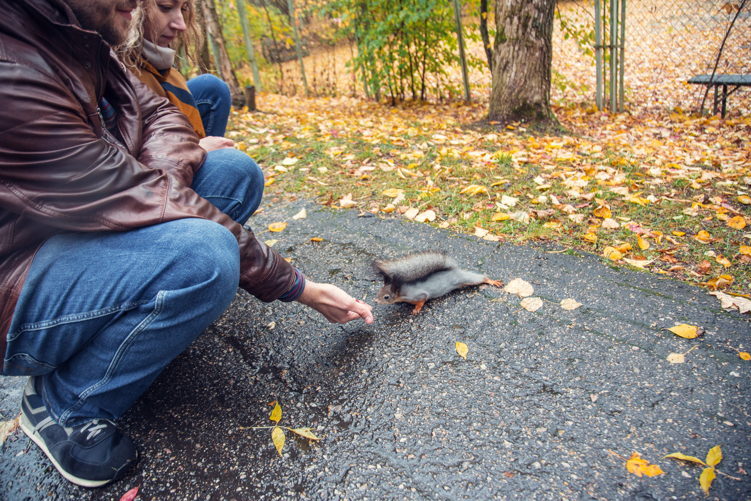 Прогулка Ивана и Дарьи в Усадьбе Измайлово. Фотограф — Евгений Свистков