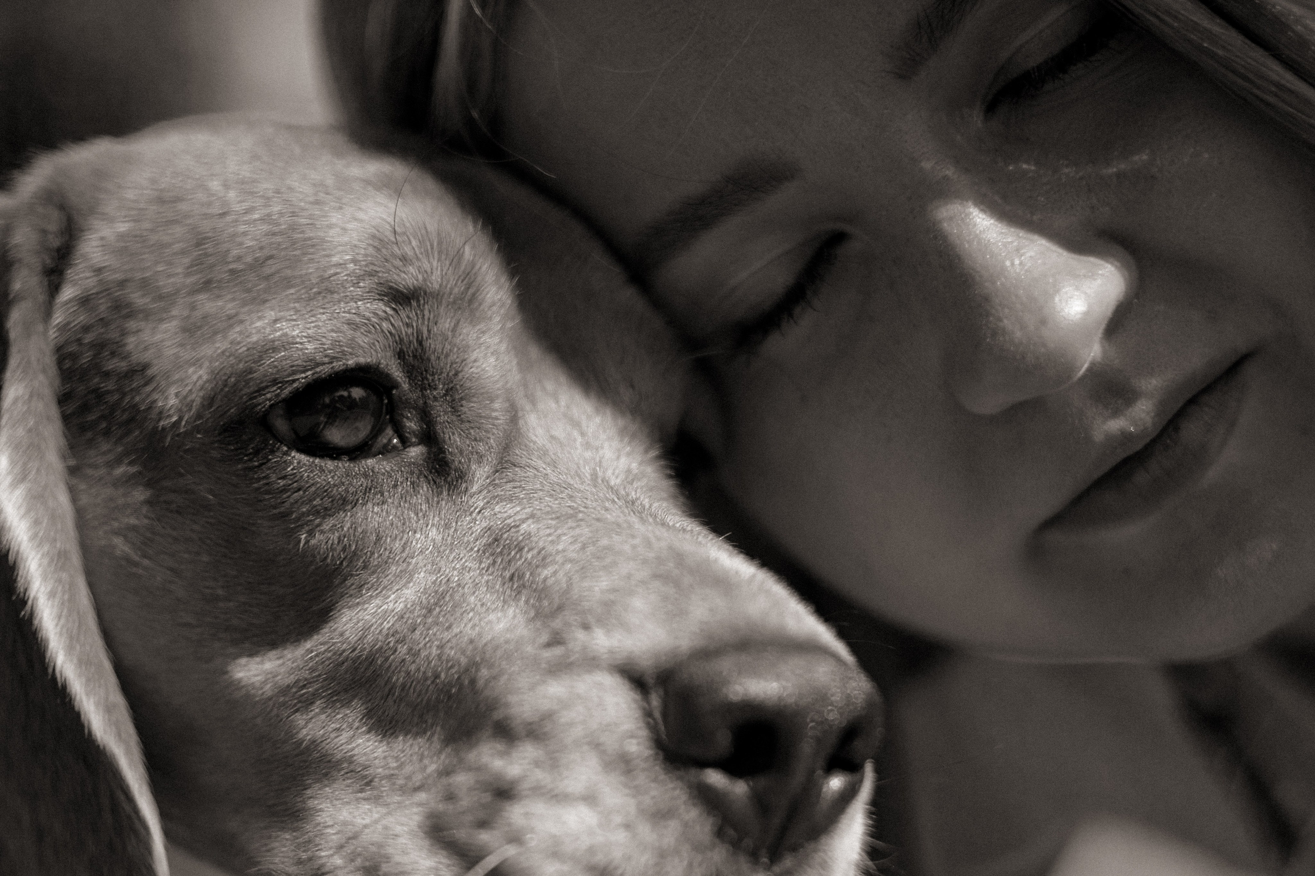 Катя и Оуджи. Фотограф — анималист •love-story•|Санкт-Петербург