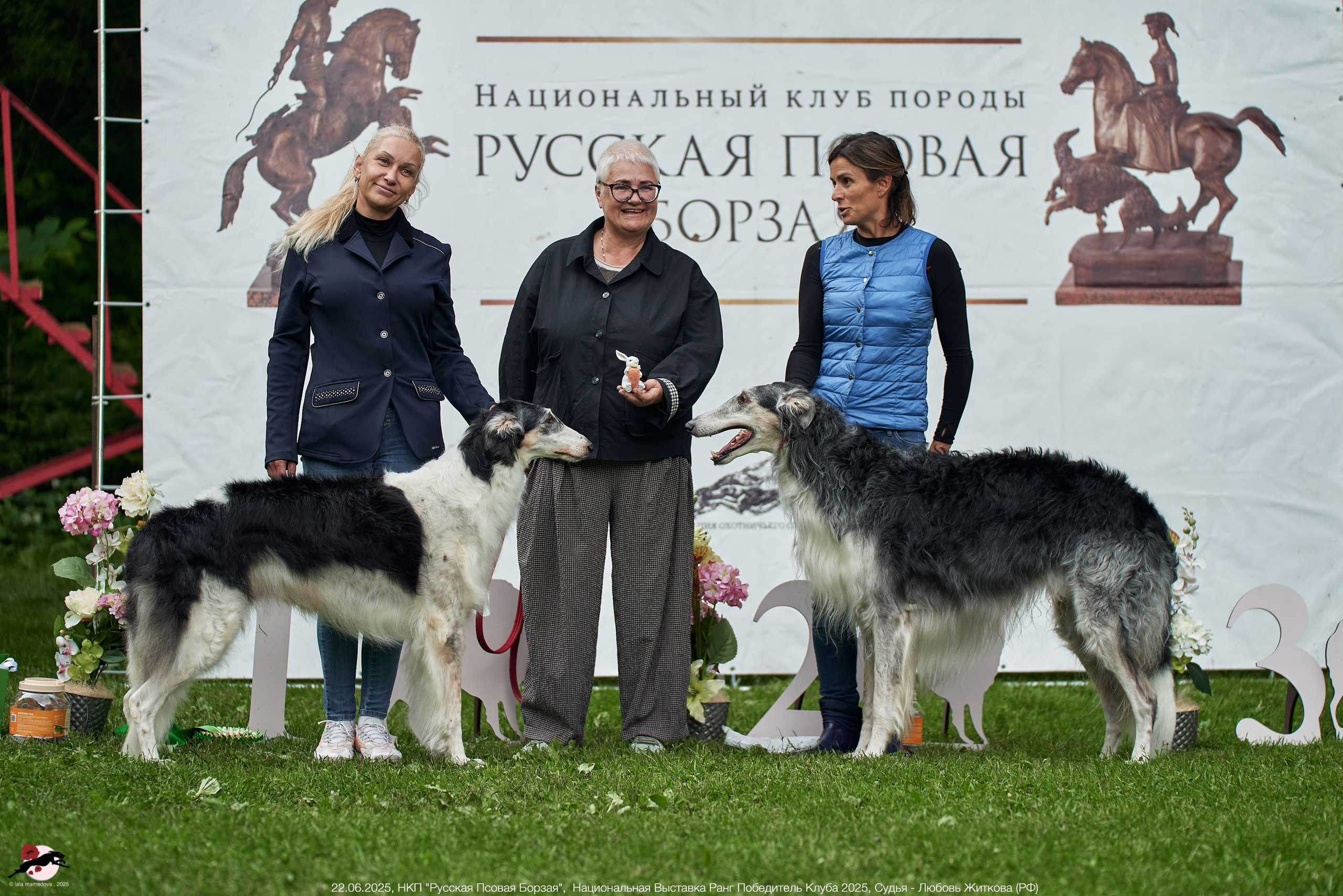 22.06.2025 | Национальная Выставка НКП "Русская Псовая Борзая"