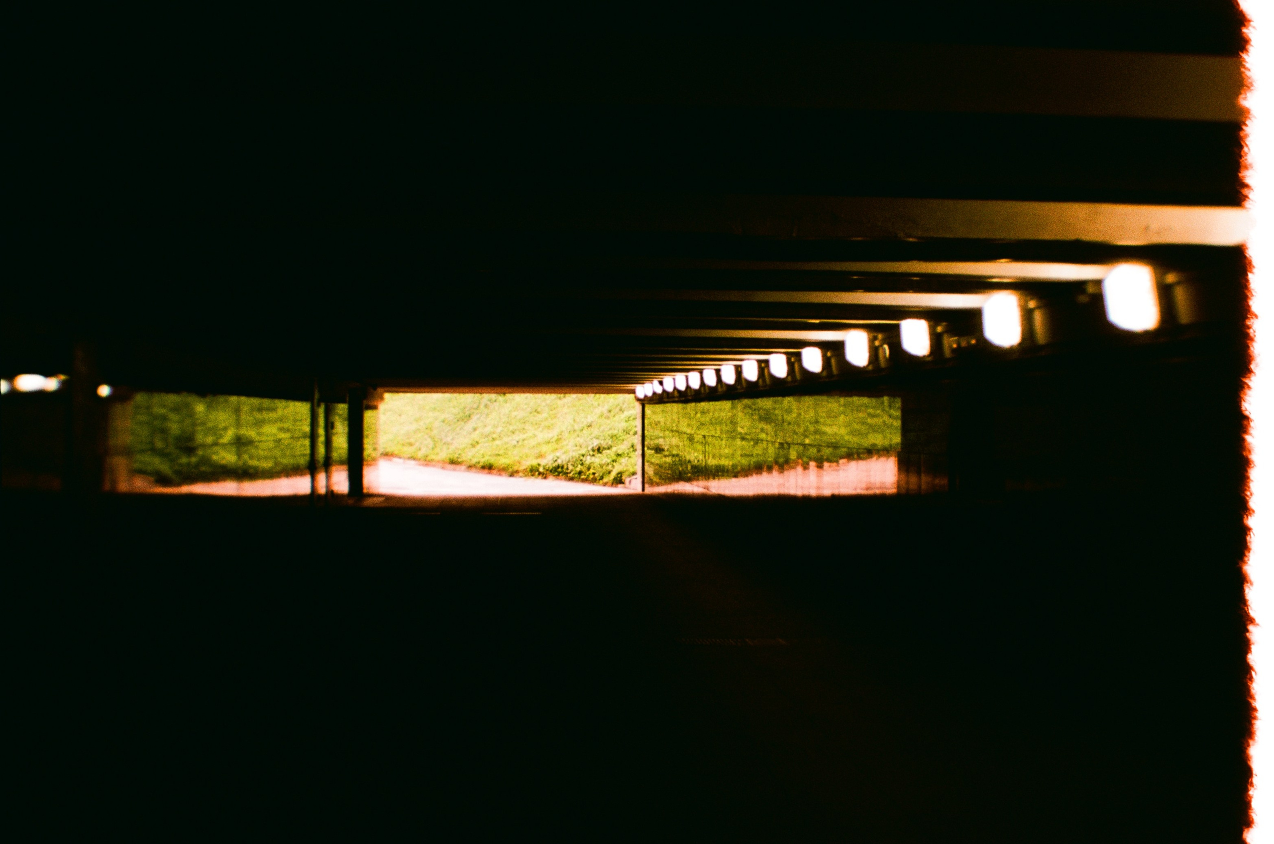 Елена Чернышова — Пираты воображения