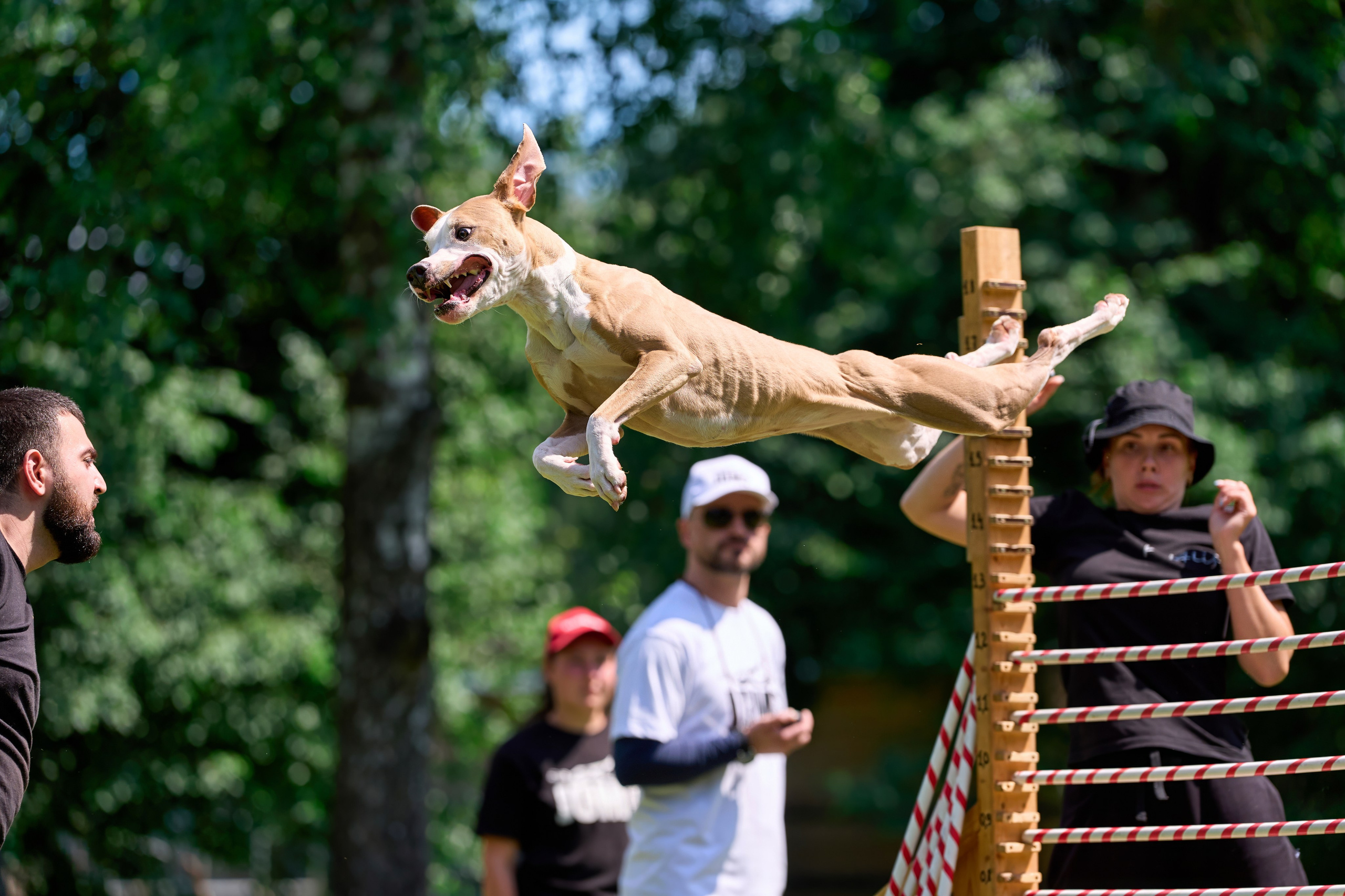 Двухдневные соревнования «Jump'n'Gym Fest — 2024». Фотограф-анималист Михаил Манухин