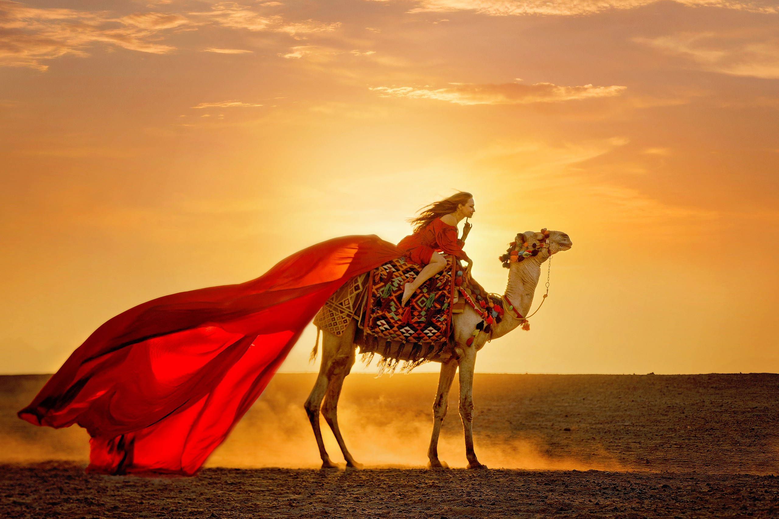 Авторские туры. Авторские туры в Египте