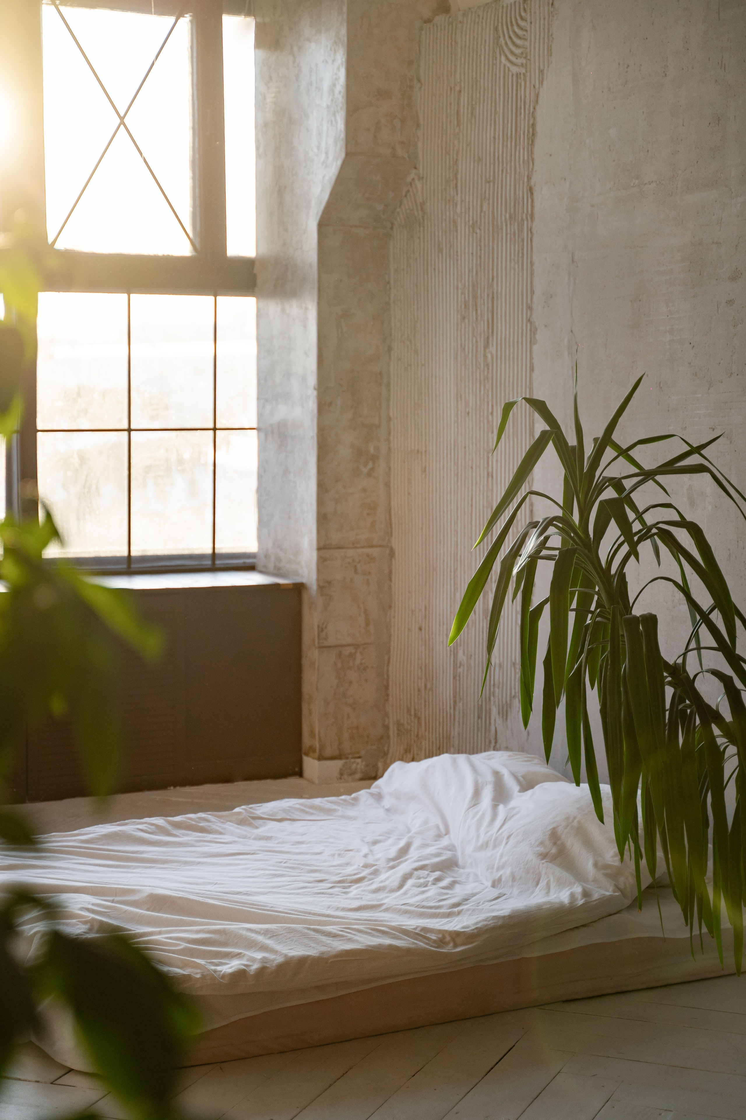 Фотостудия. Фотограф Вера Зверуго в Орле