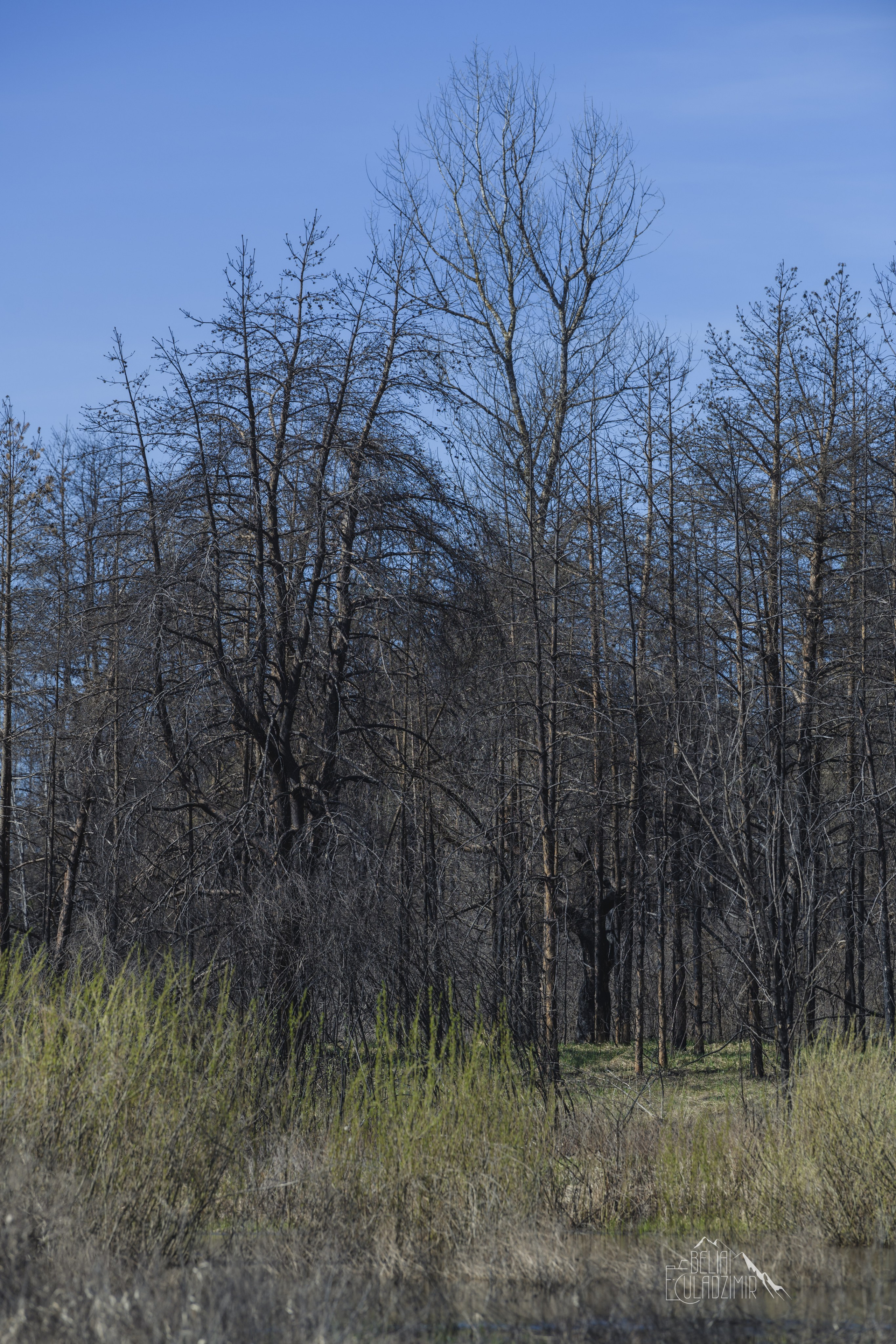 Сплав по реке Тремля 5 апреля 2026 года. Репортажный фотограф Владимир Беляй
