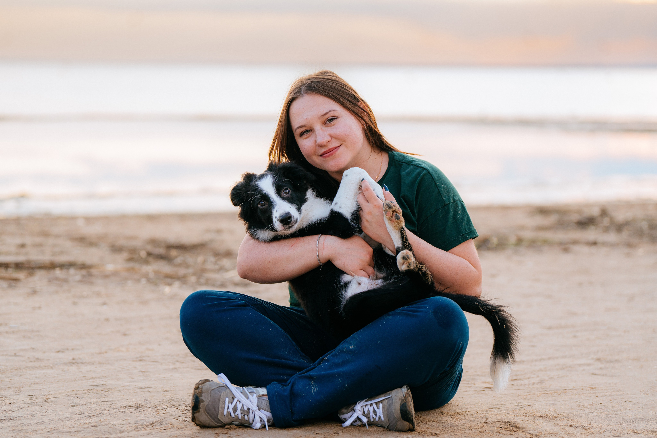 Фотосессия со щенками колли. Фотограф анималист в Спб недорого Олеся Майорова