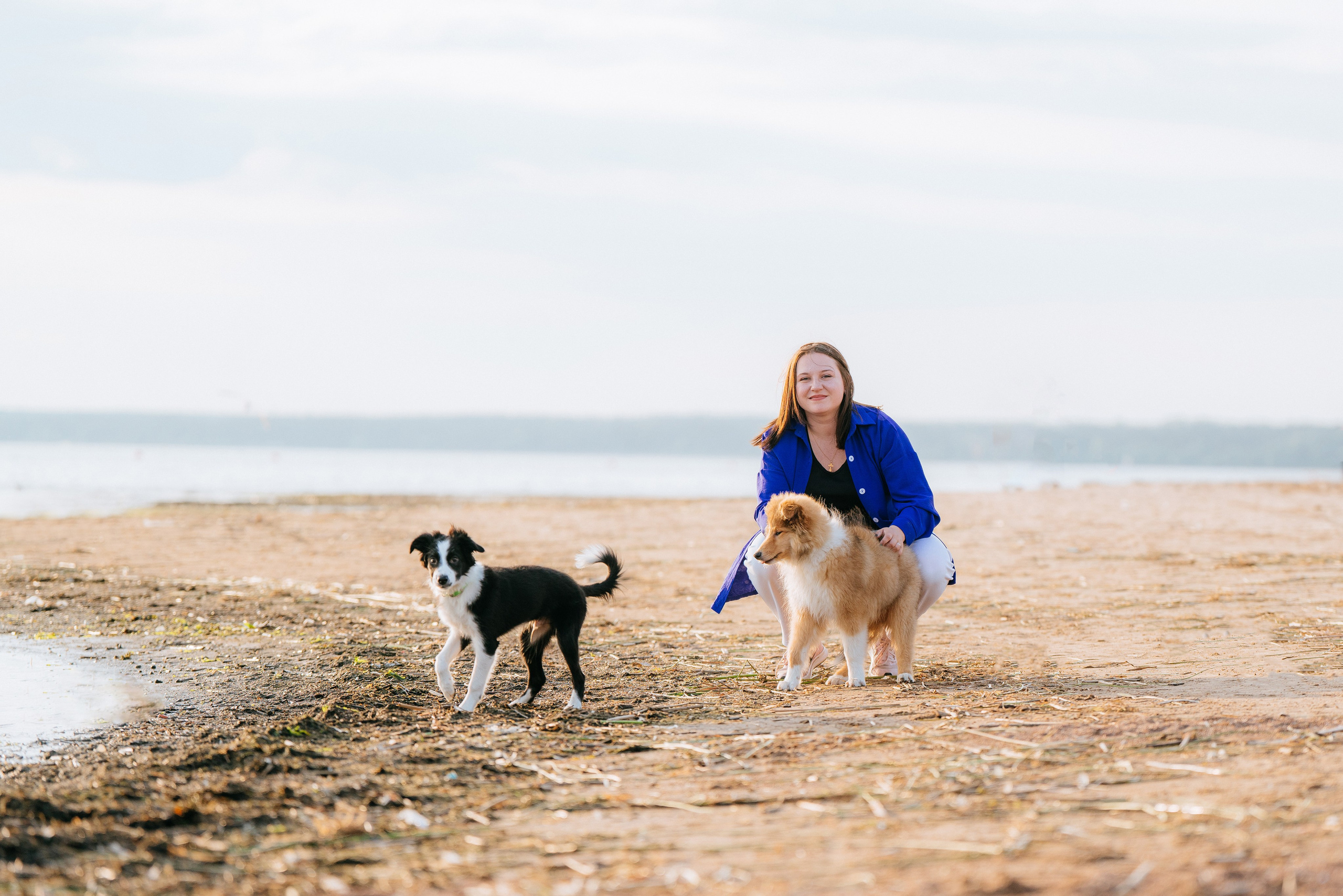 Фотосессия со щенками колли. Фотограф анималист в Спб недорого Олеся Майорова