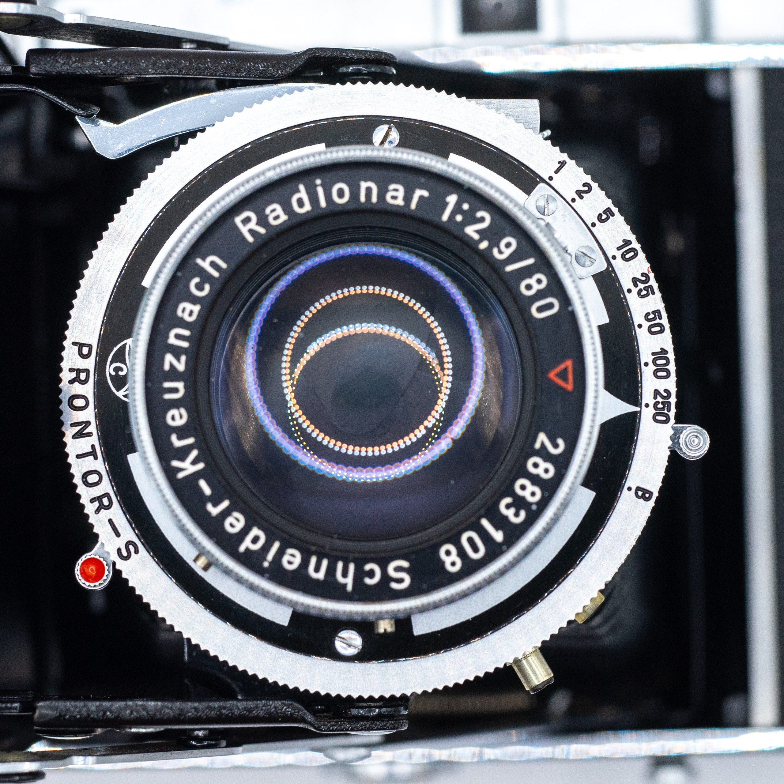 Franka Solida III — Sсhneider-Kreuznach Radionar 80 mm f2.9 V