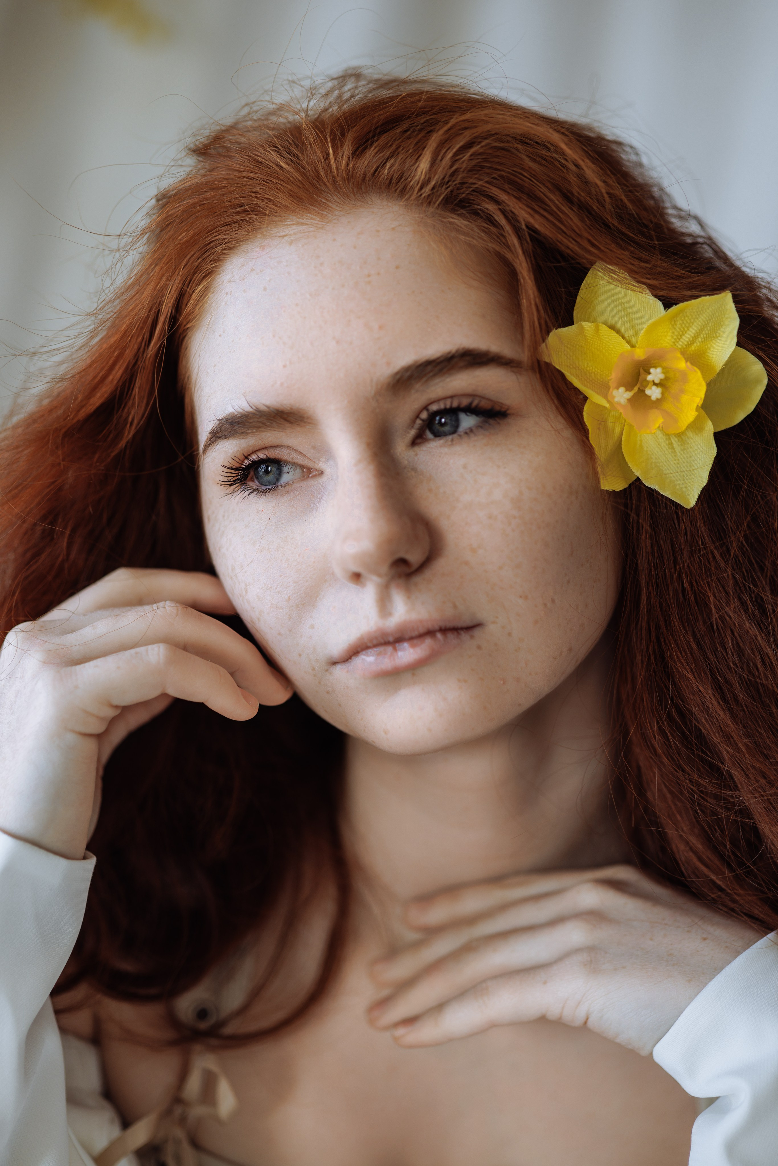 Мимоза. Фотограф в Ульяновске