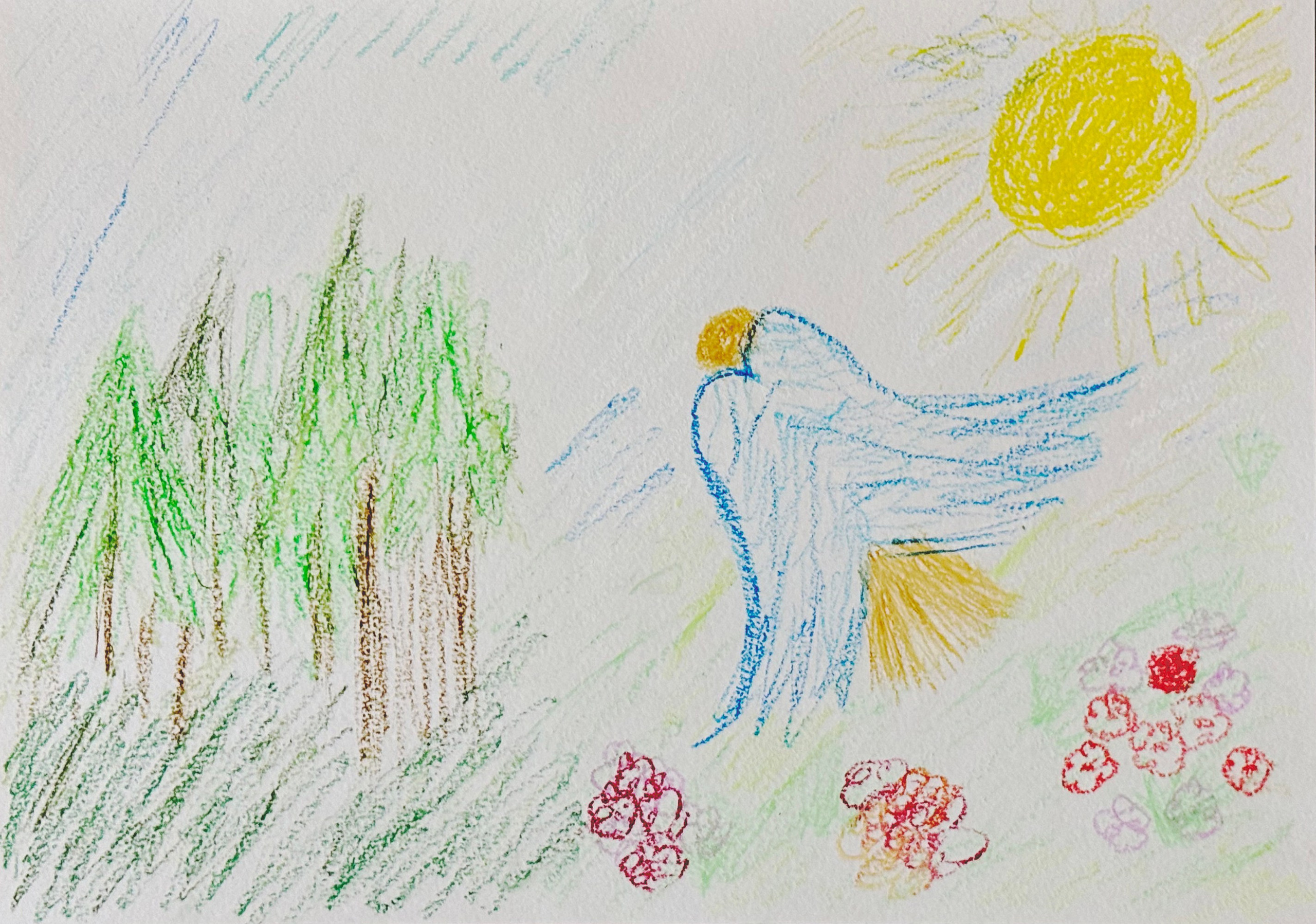 Ольга. OLGA OLEYNIKOVA Пространство, люди, смыслы