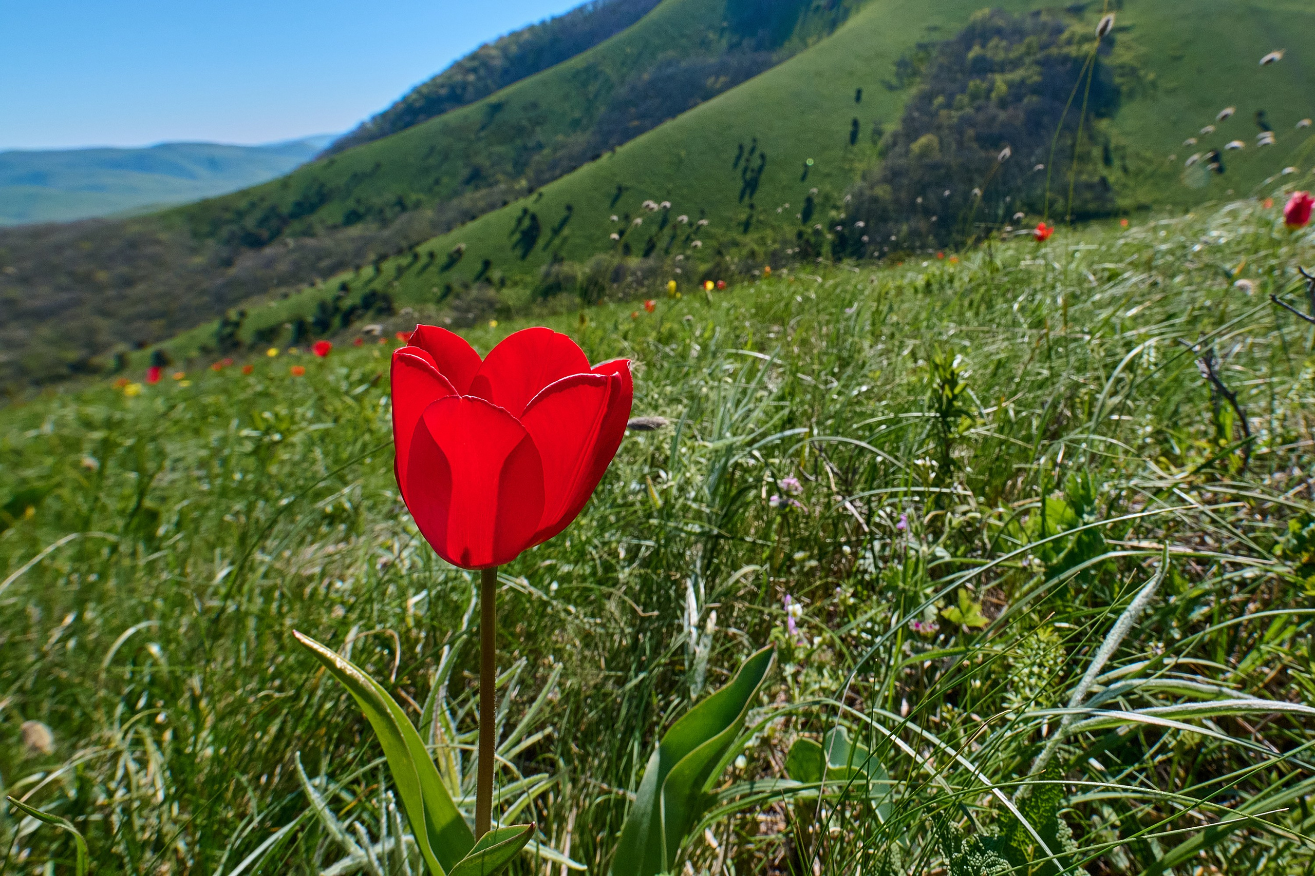 Пейзажи. Яркие фото на Чёрном море