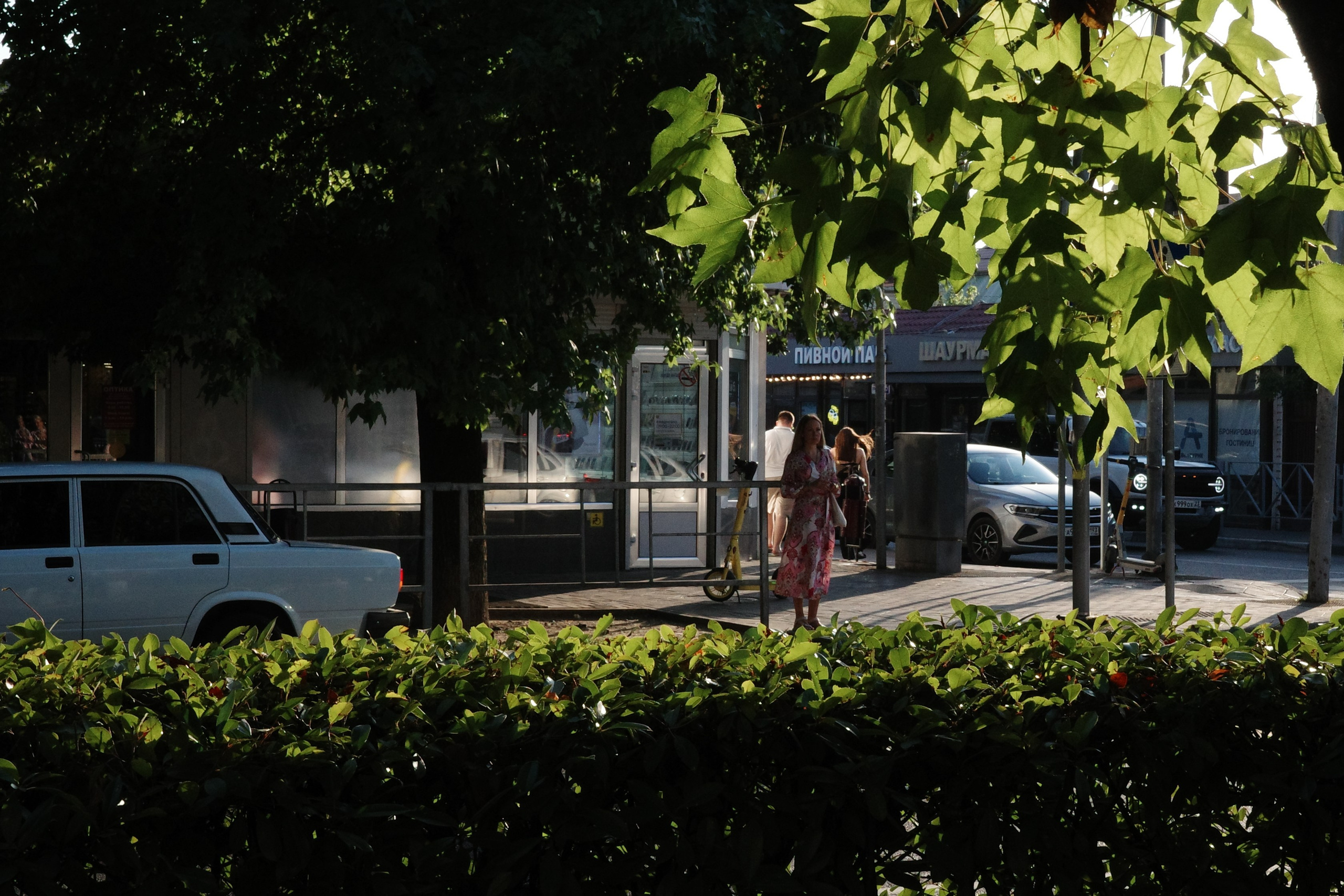 Зелено и солнечно!