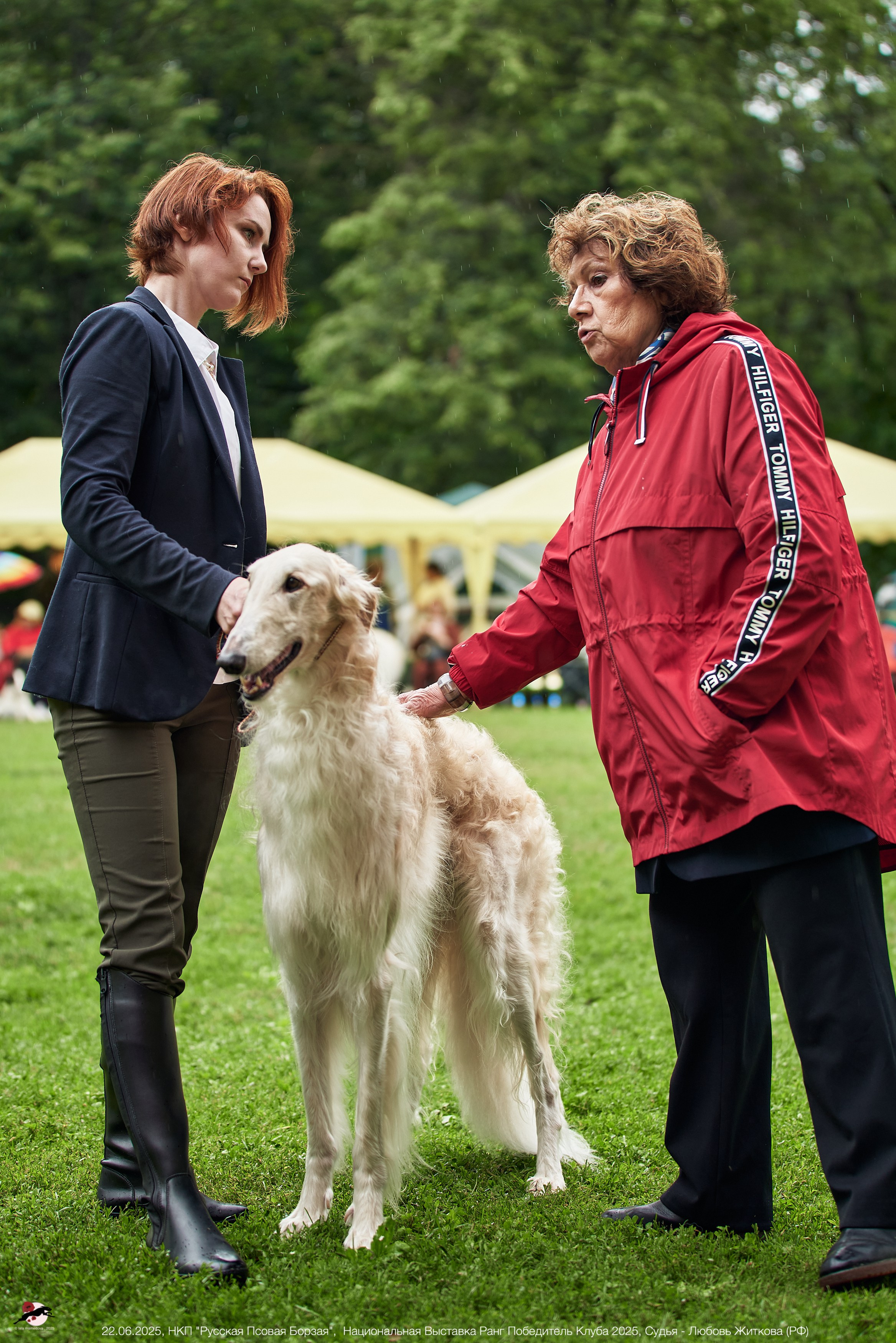22.06.2025 | Национальная Выставка НКП "Русская Псовая Борзая"