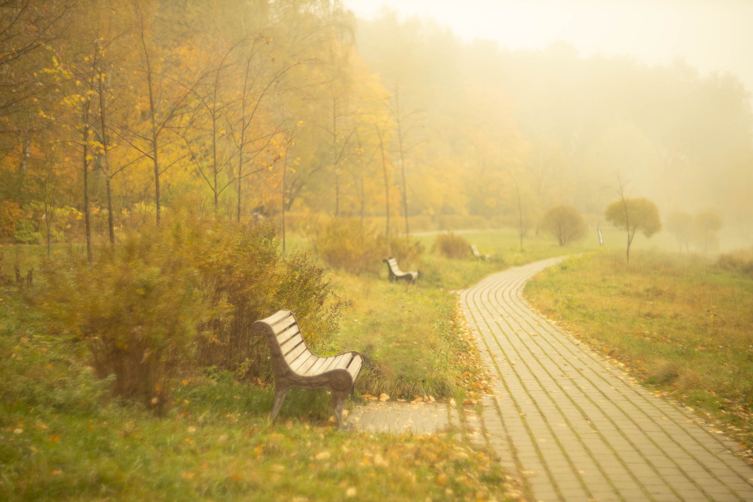 Серия «Цвет переосмыслений». Фотограф в Москве Татьяна Макотра