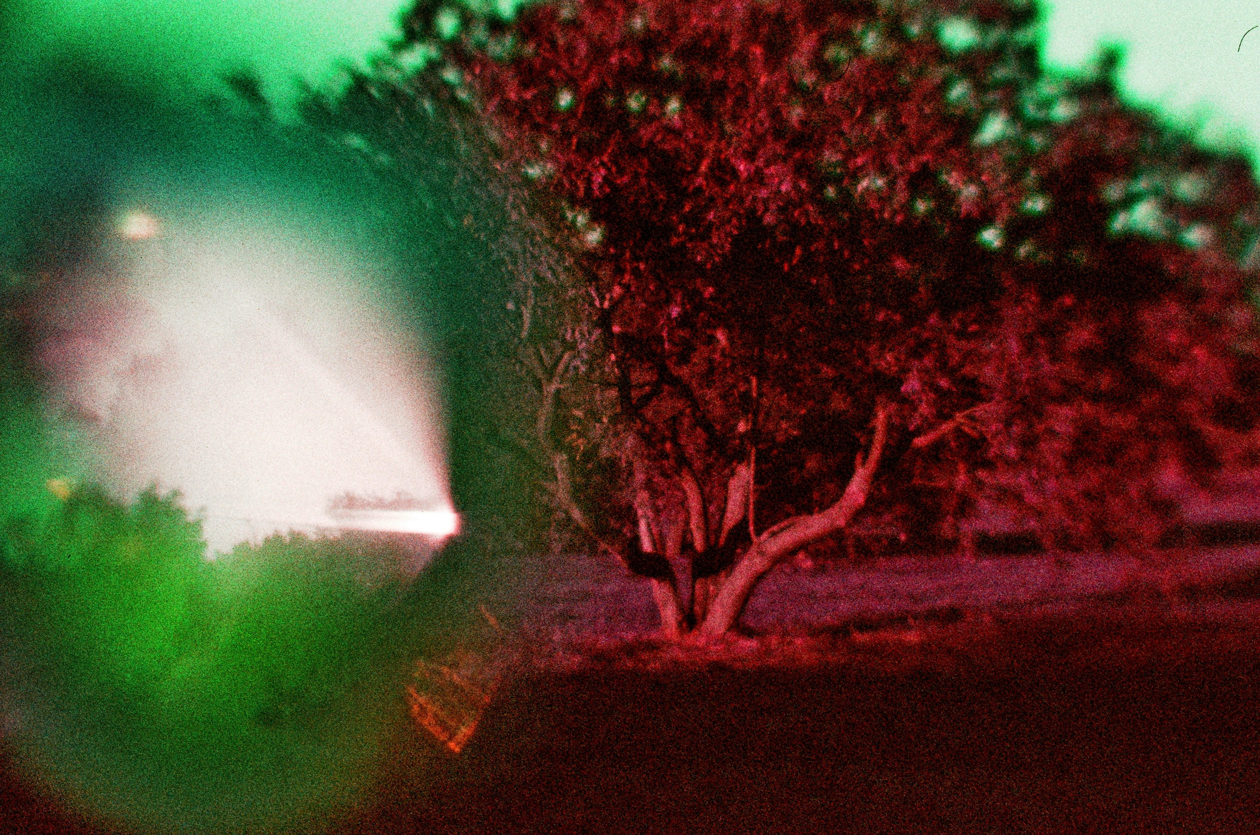 Елена Чернышова — Пираты воображения