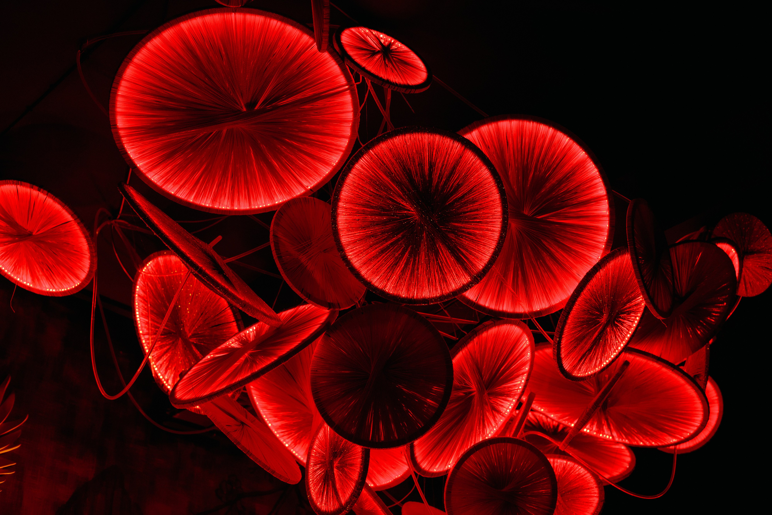 HANAMI — МЕМУАРЫ ГЕЙШИ. СВОИ. ФОТООТЧЕТЫ-СОБЫТИЯ-МЕСТА