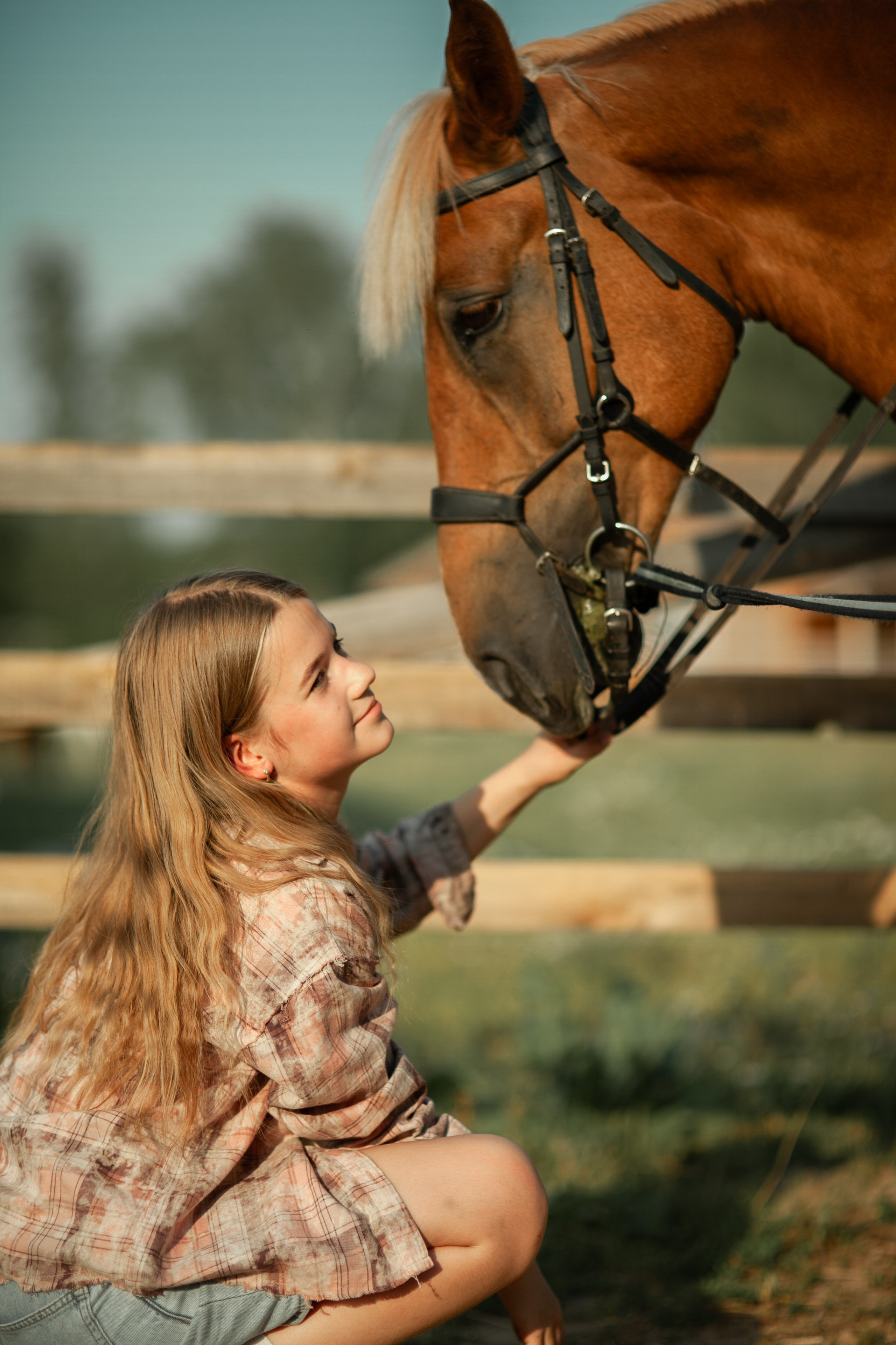 Костин двор. Фотограф Казначеева Юлия Иваново/Москва