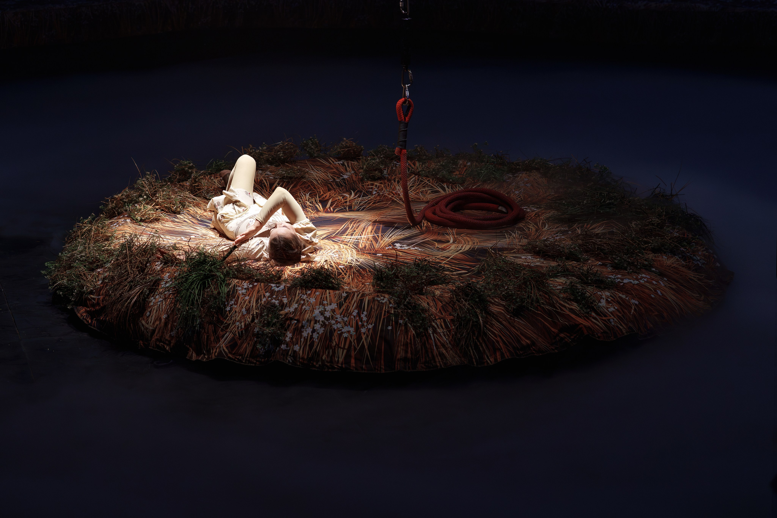 «Королевский цирк Гии Эрадзе»