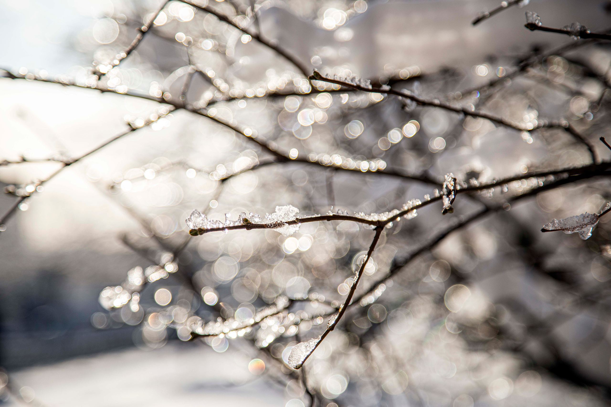 Контакты. Семейный и детский фотограф в Санкт-Петербург. Natalia Fadel