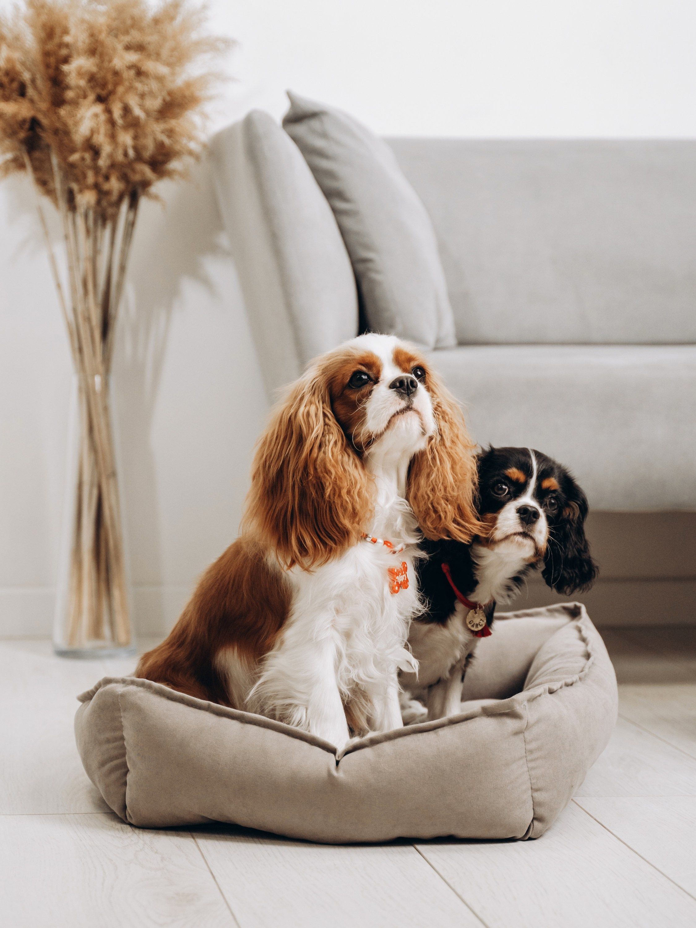 Фото для маркетплейсов и интернет магазинов Москва