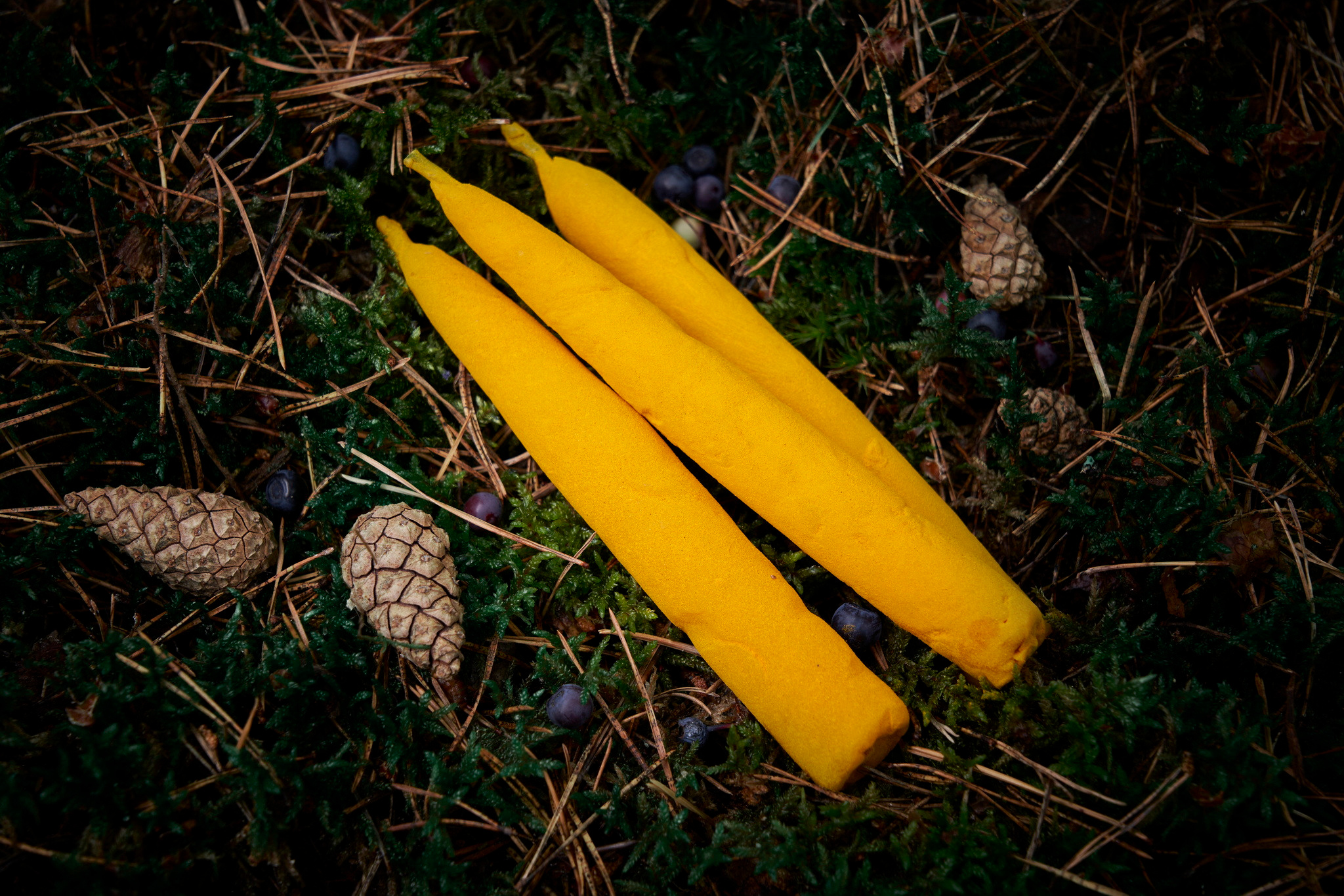 свечи ручной работы желтого цвета похожие на сигары