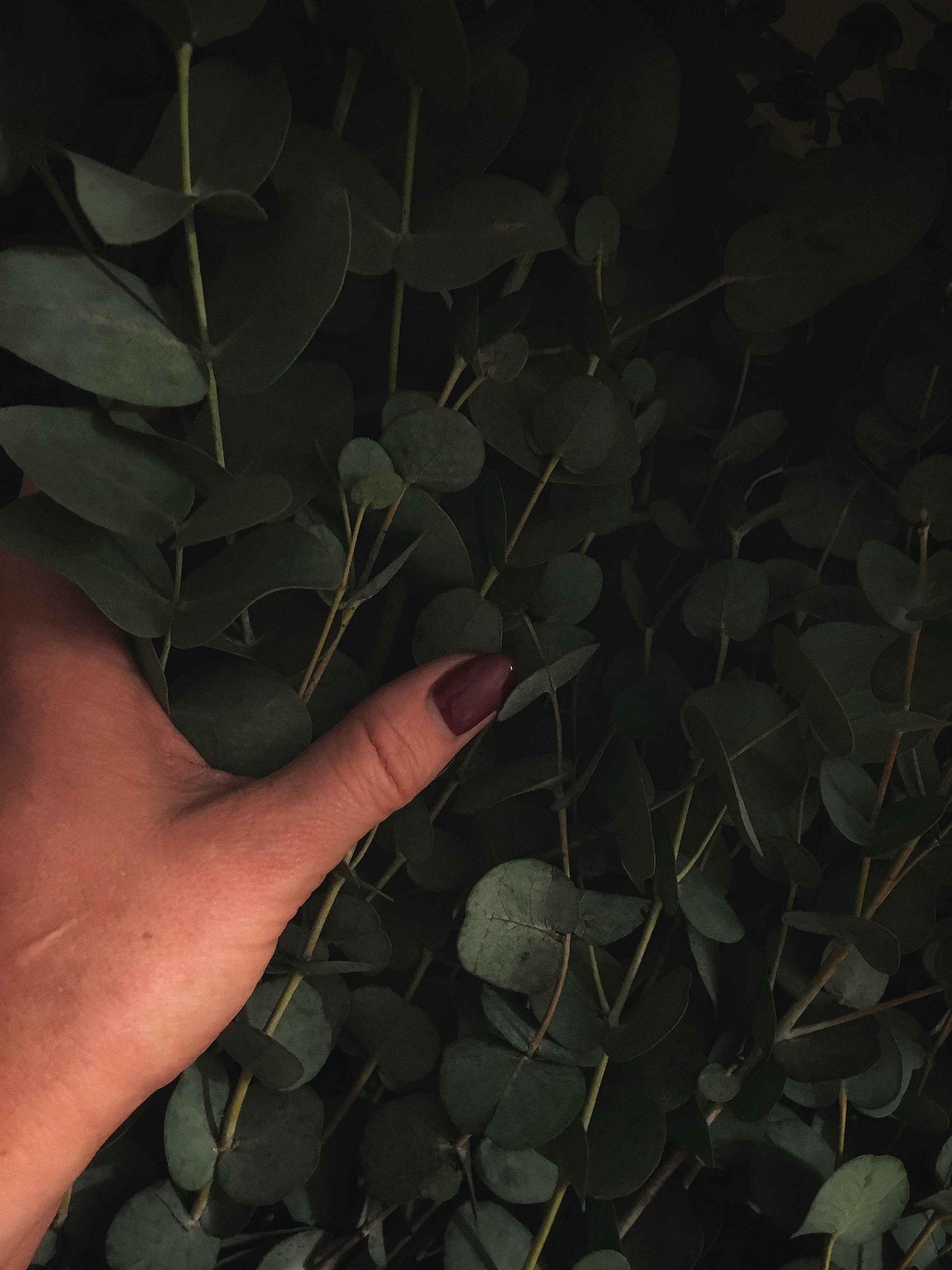 Студия декора LES décors