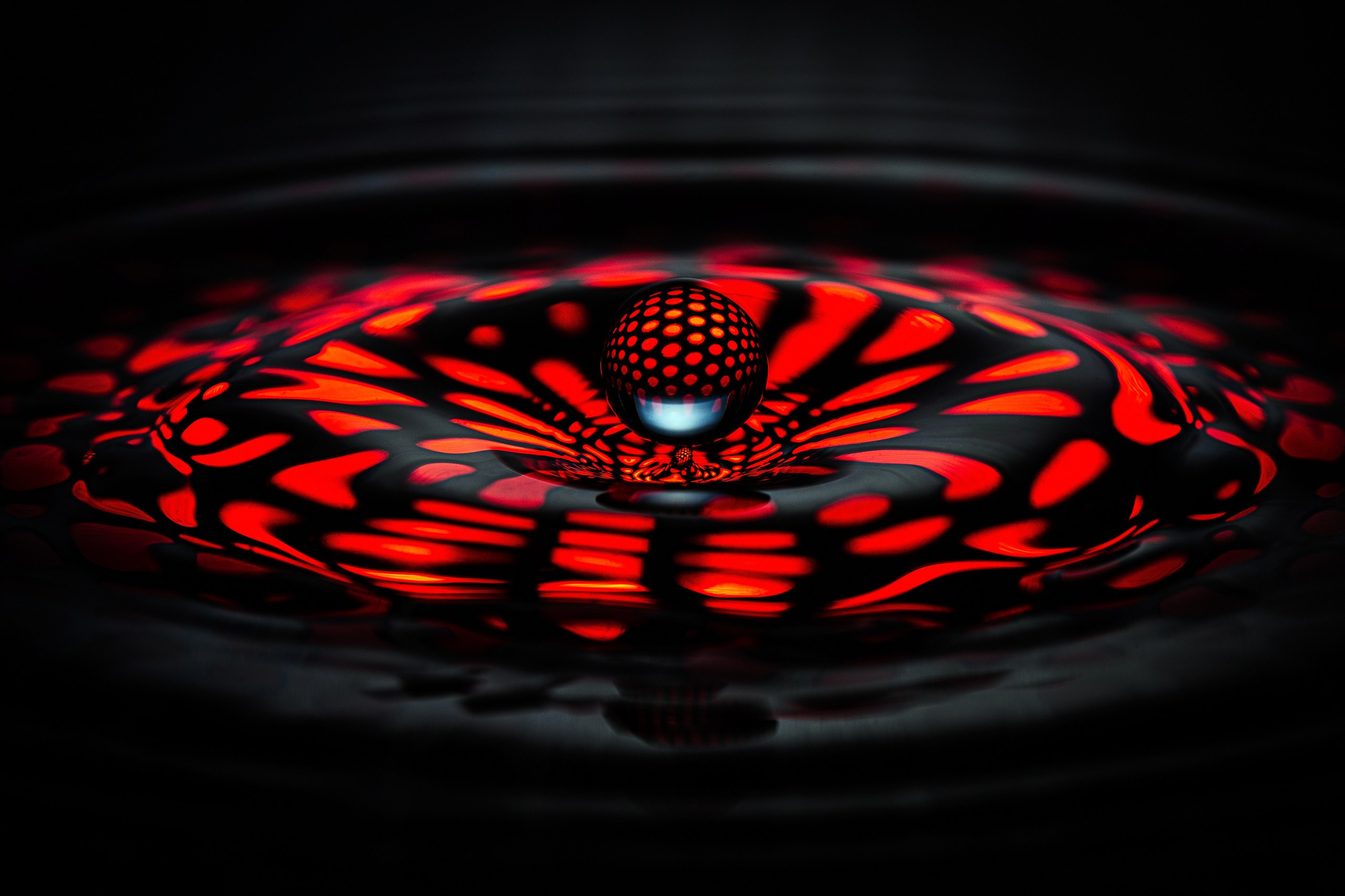 Скульптуры из воды Сергея Толмачева