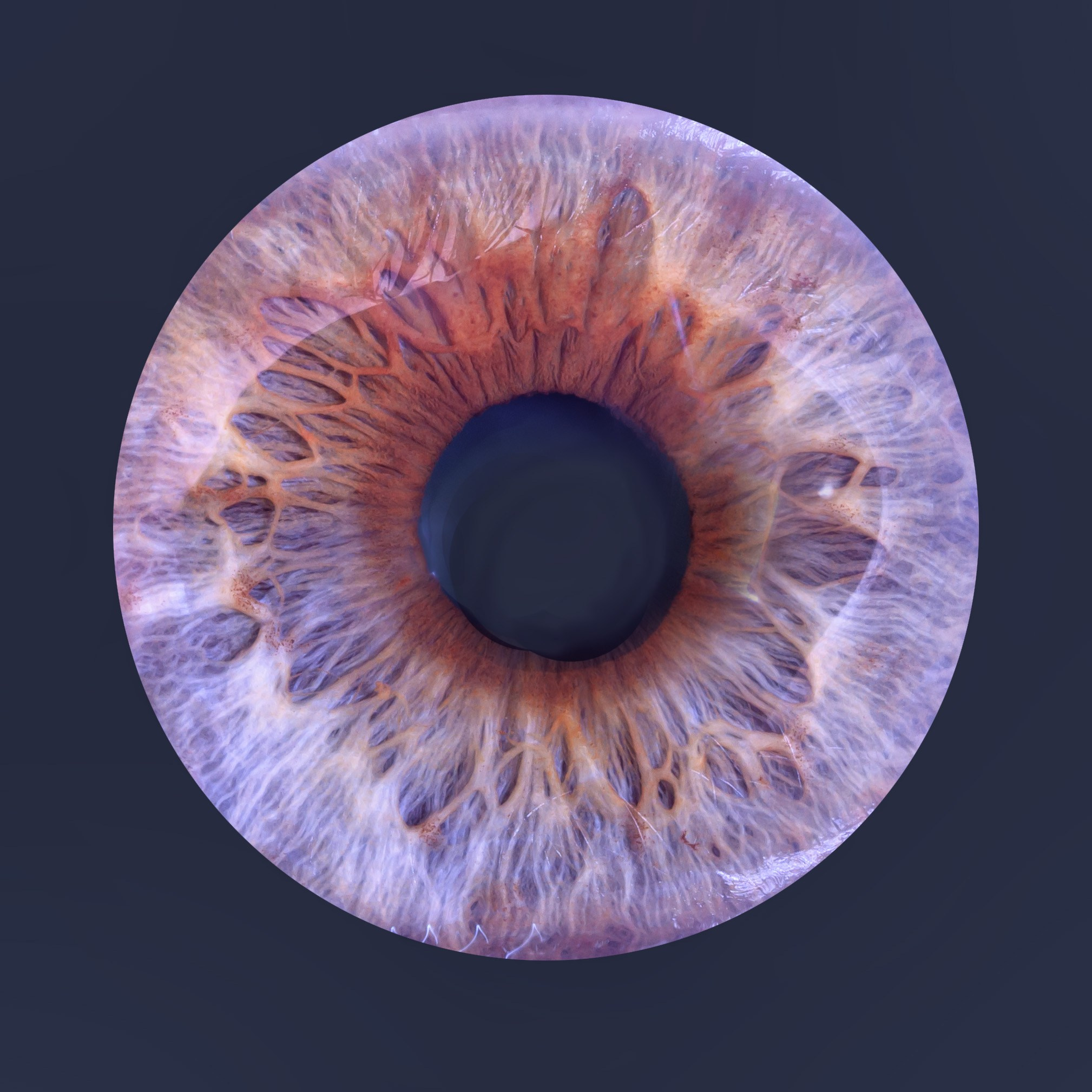 Лучшая фотография радужки глаза в Ростове. Профессиональная фотосъемка. Ростов-на-Дону