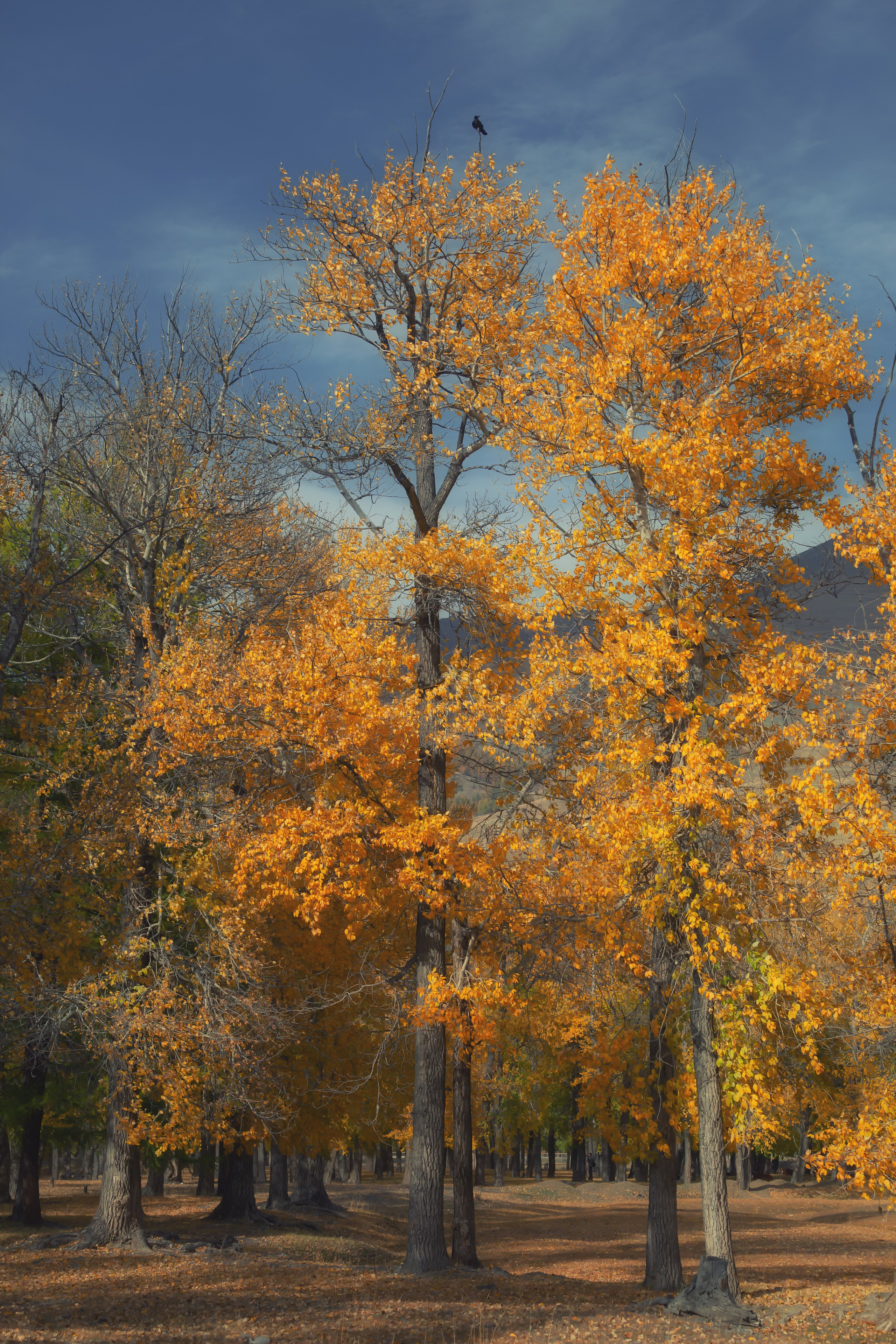 Пейзаж. Вадим Кононенко — outdoor creating