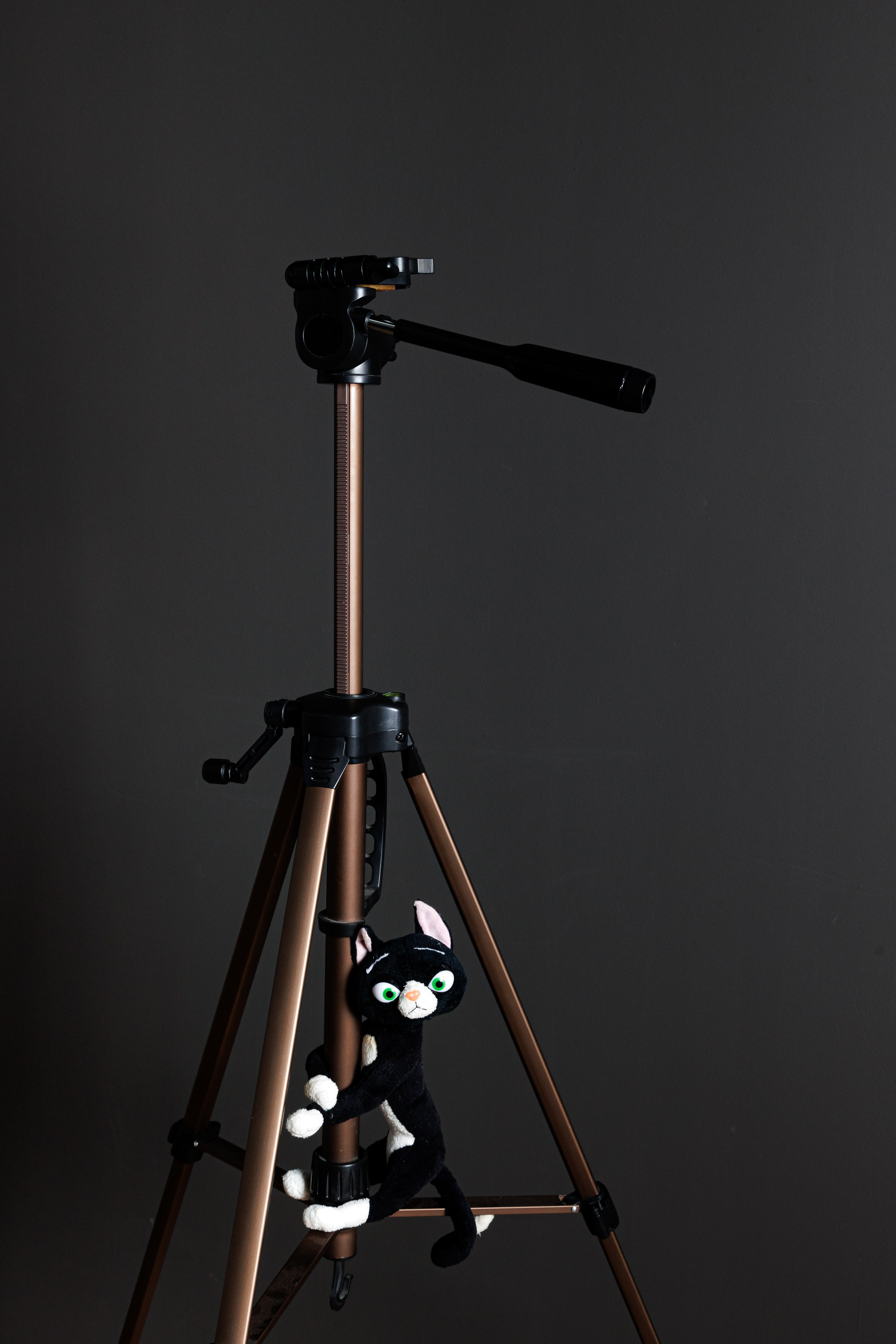 Реквизит и Оборудование